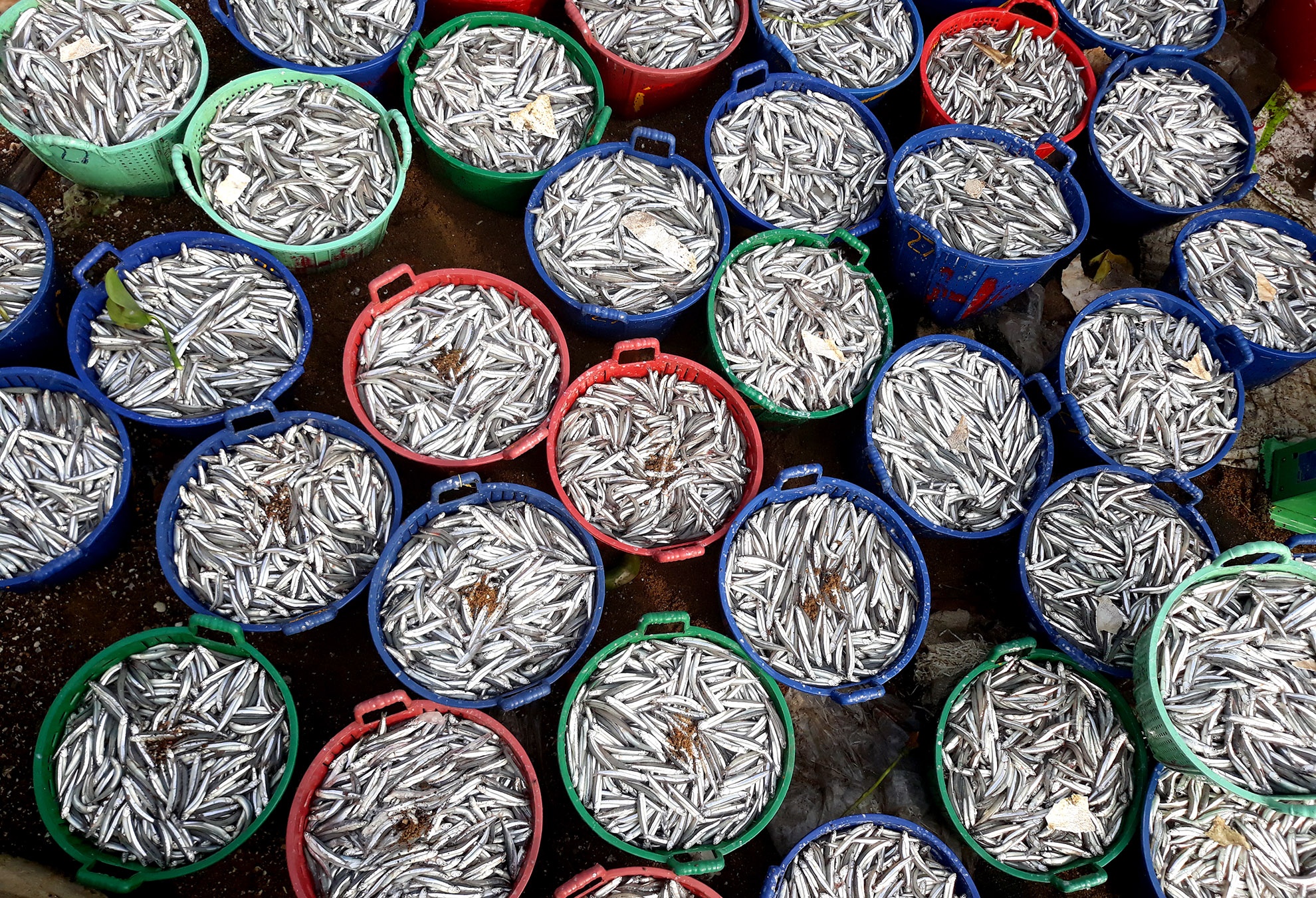 Trung dam loc bien dau nam anh 5