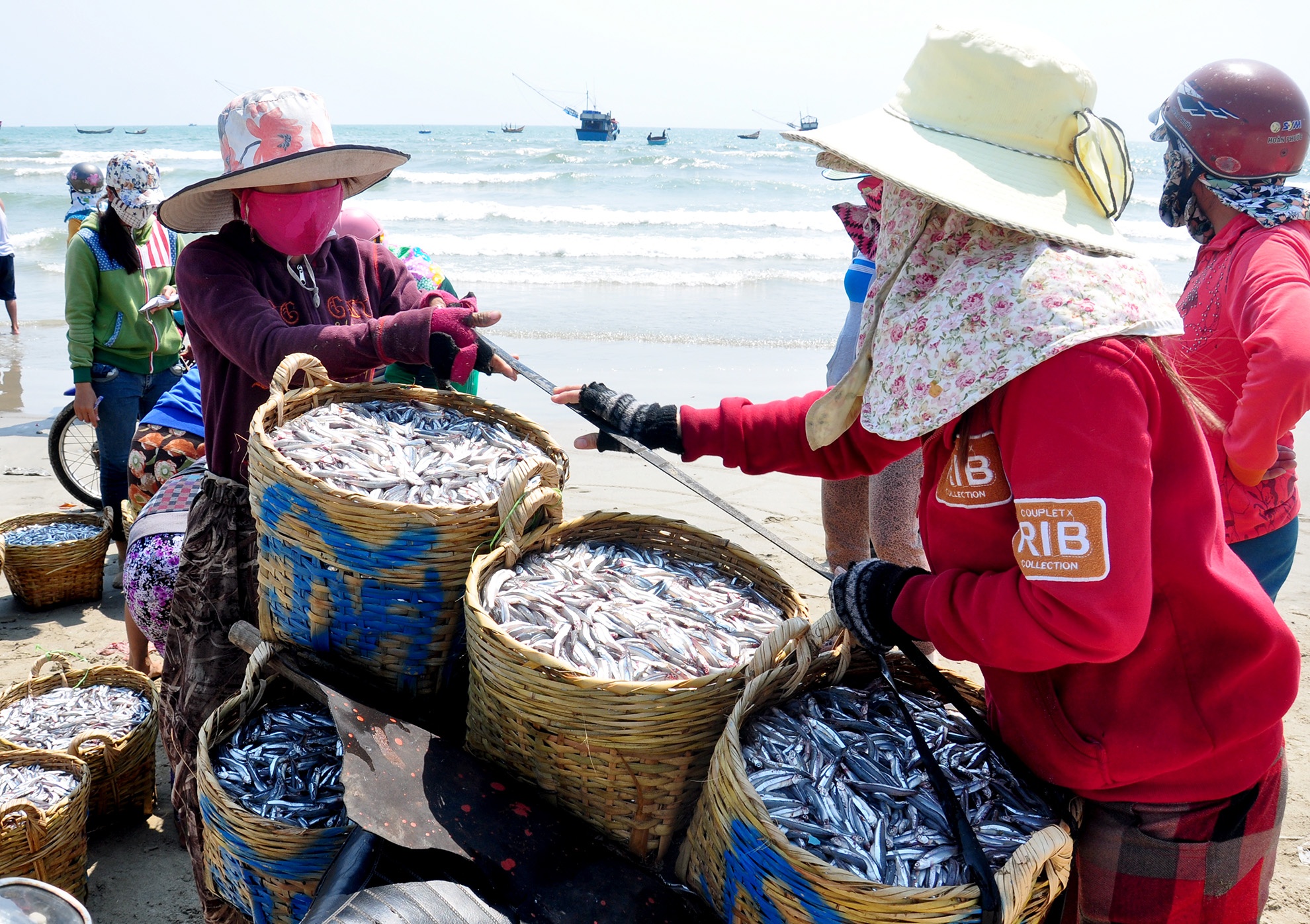 Ngu dan trung dam 'loc bien' dau nam hinh anh