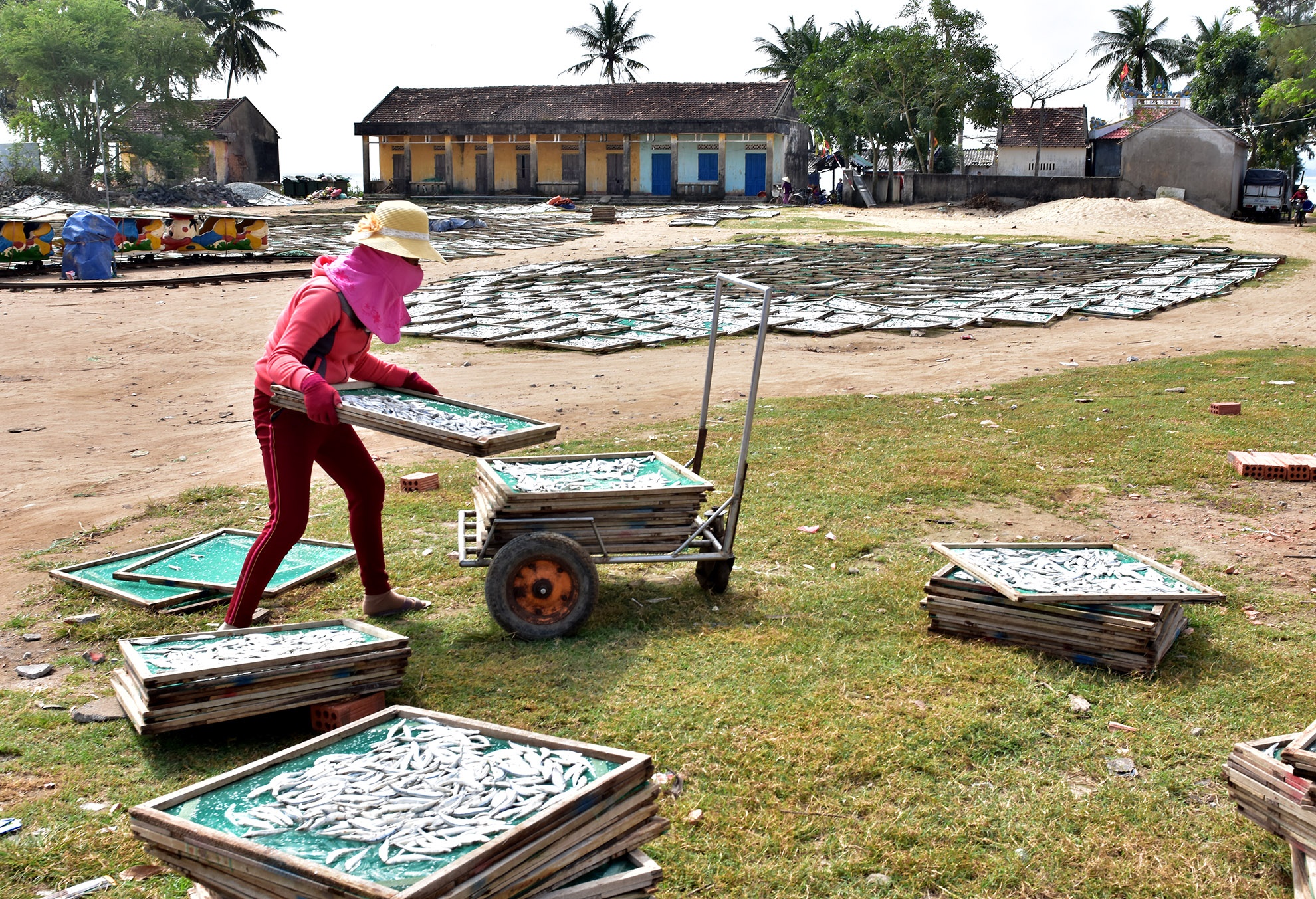 Trung dam loc bien dau nam anh 8