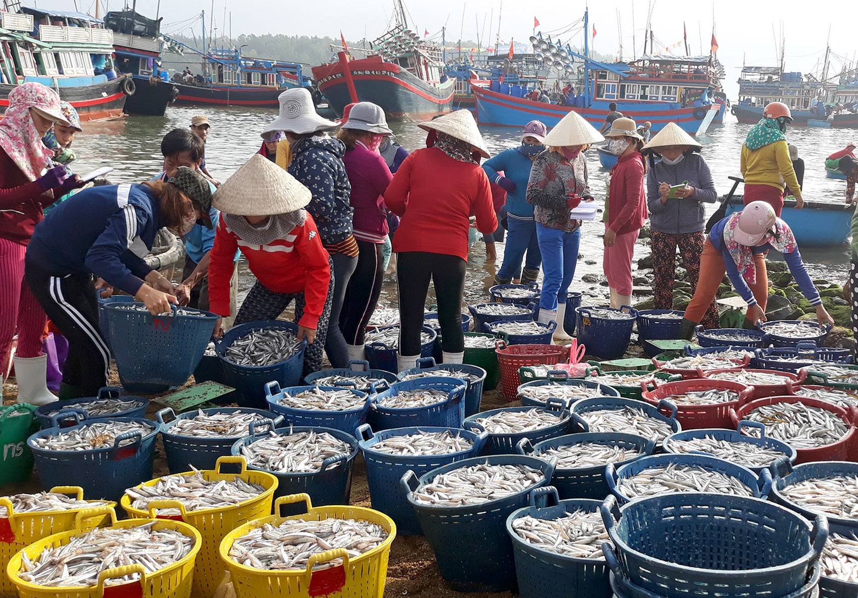 Ngu dan trung 100 trieu dong moi dem tu me luoi dau nam hinh anh