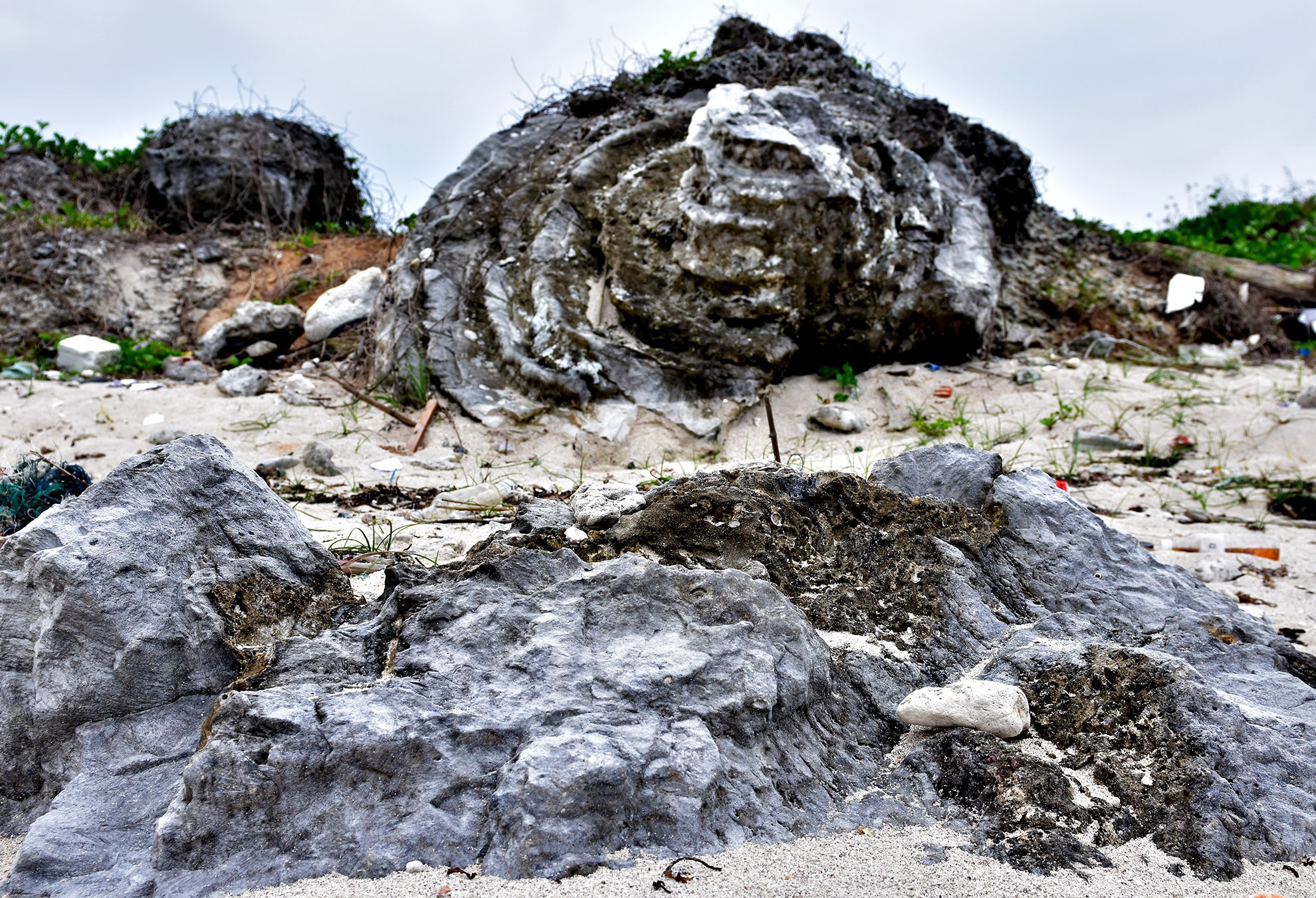 Nghĩa địa san hô hóa thạch ảnh 7 Nghia dia san ho hoa thach anh 7