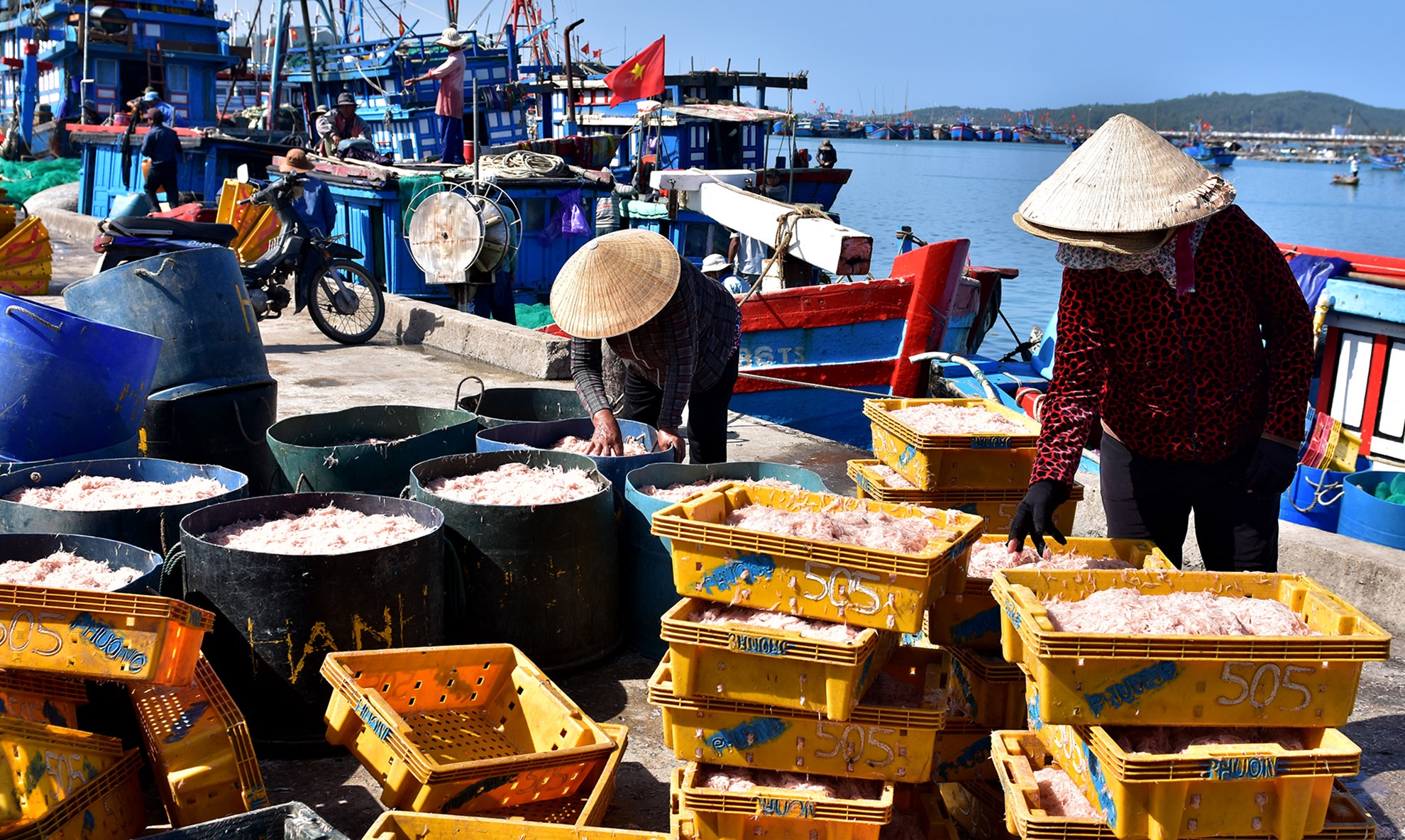 Ngu dan kiem tien trieu moi ngay nho trung lon me luoi ruoc hinh anh