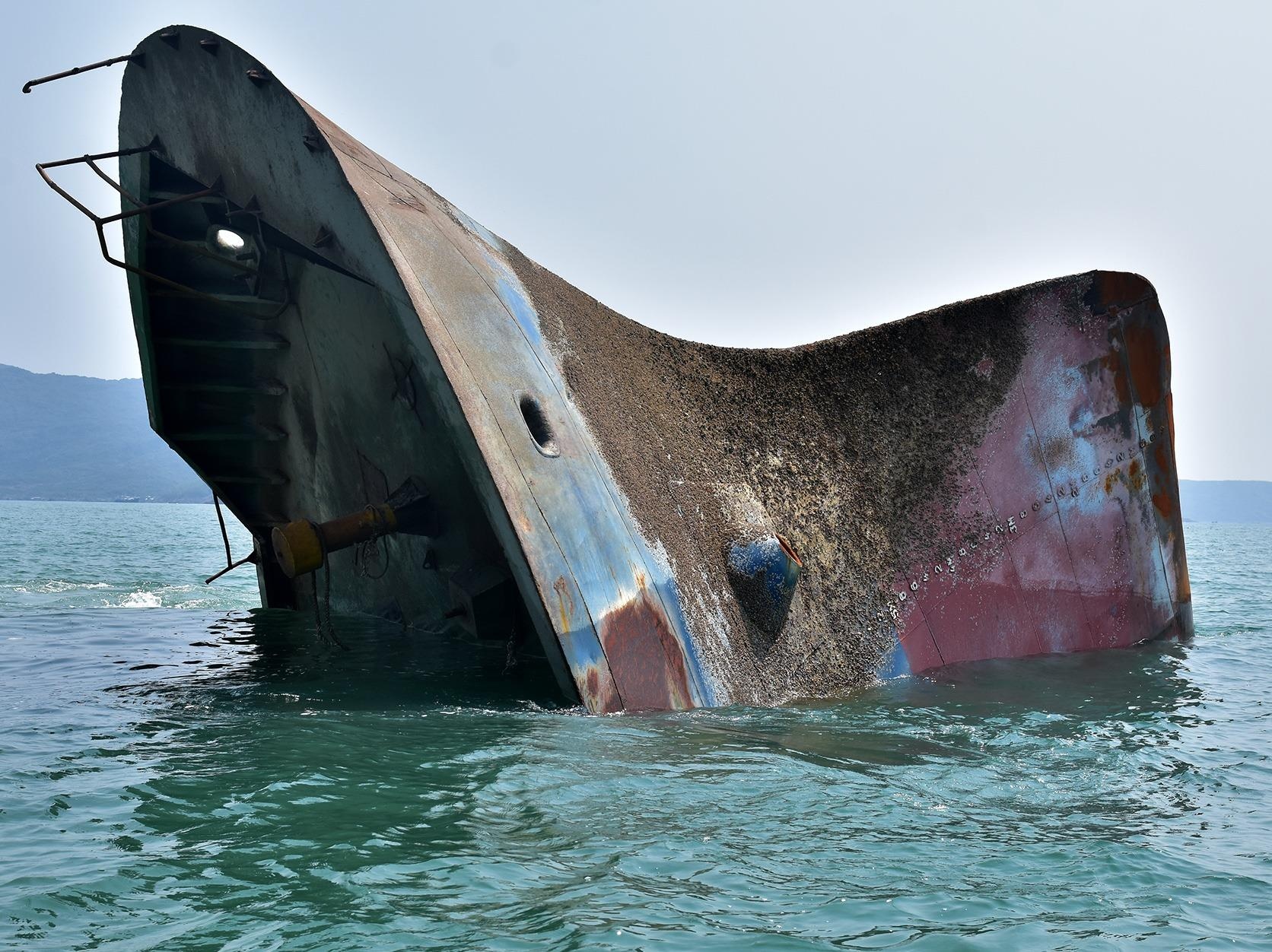 'Xe thit' tau hang trieu do chim o bien Quy Nhon ban phe lieu hinh anh