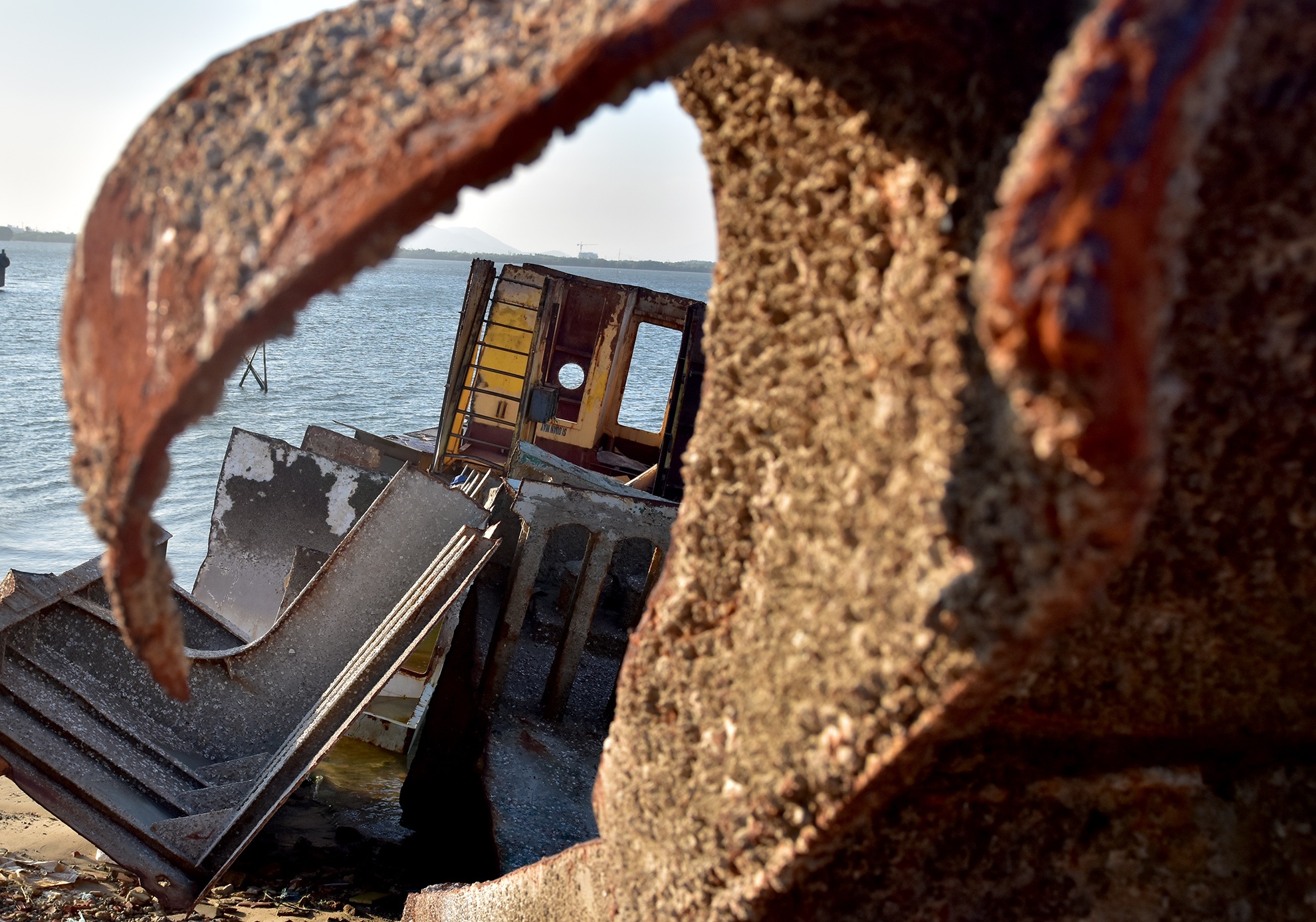 Cong truong xe thit tau chim anh 14