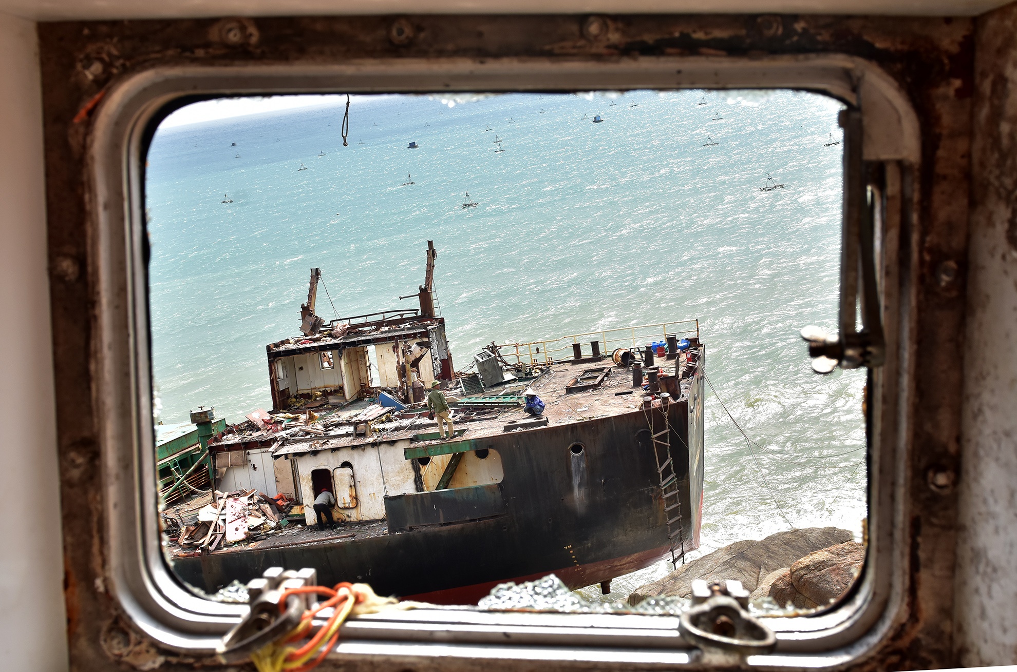 Cong truong xe thit tau chim anh 9