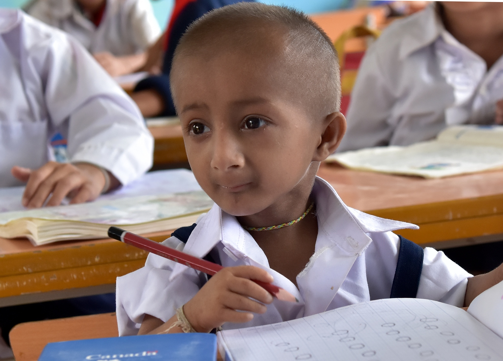 Bo truong Phung Dinh Nha anh 2