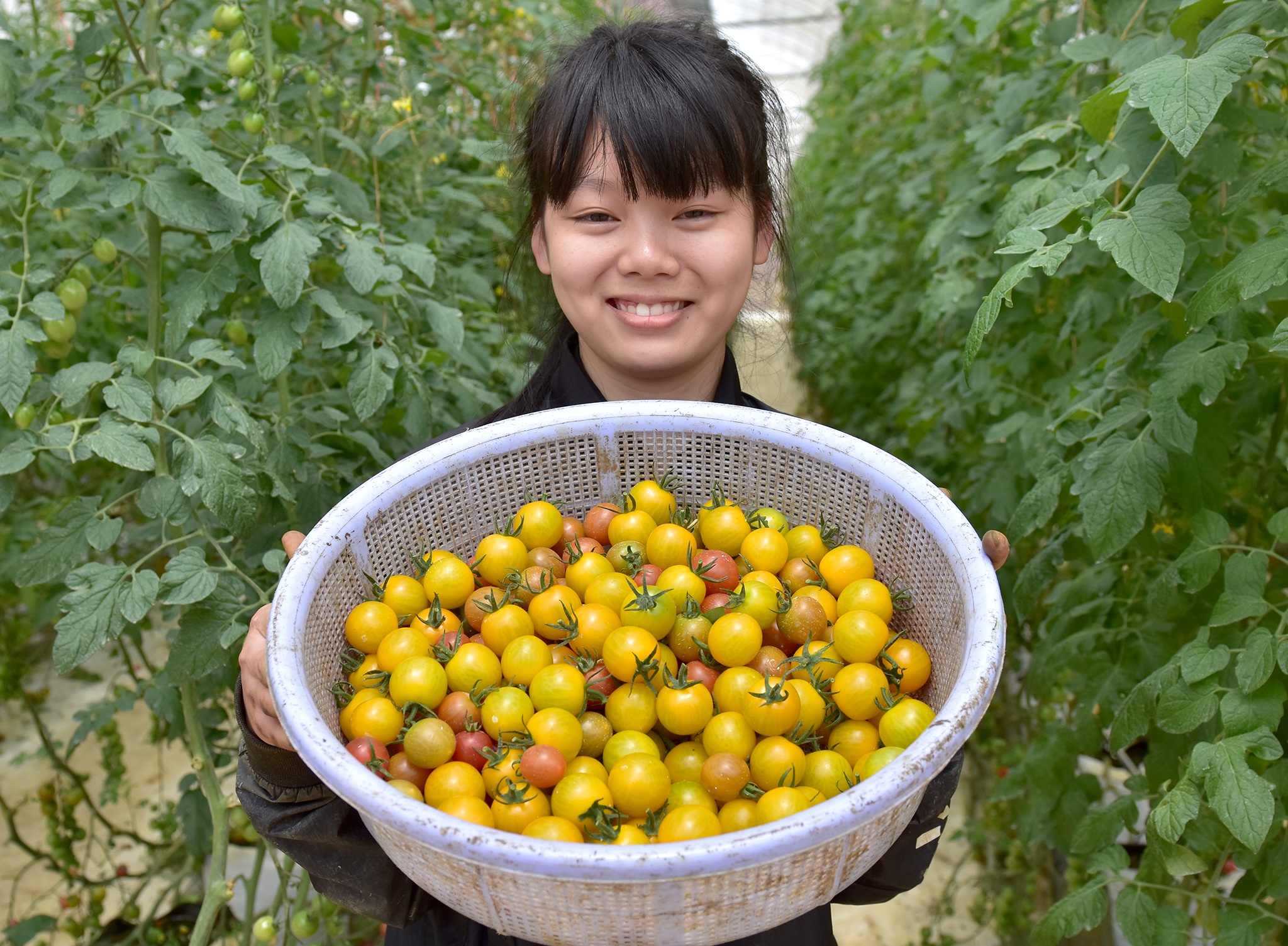 Nong nghiep sach Mang Den anh 4
