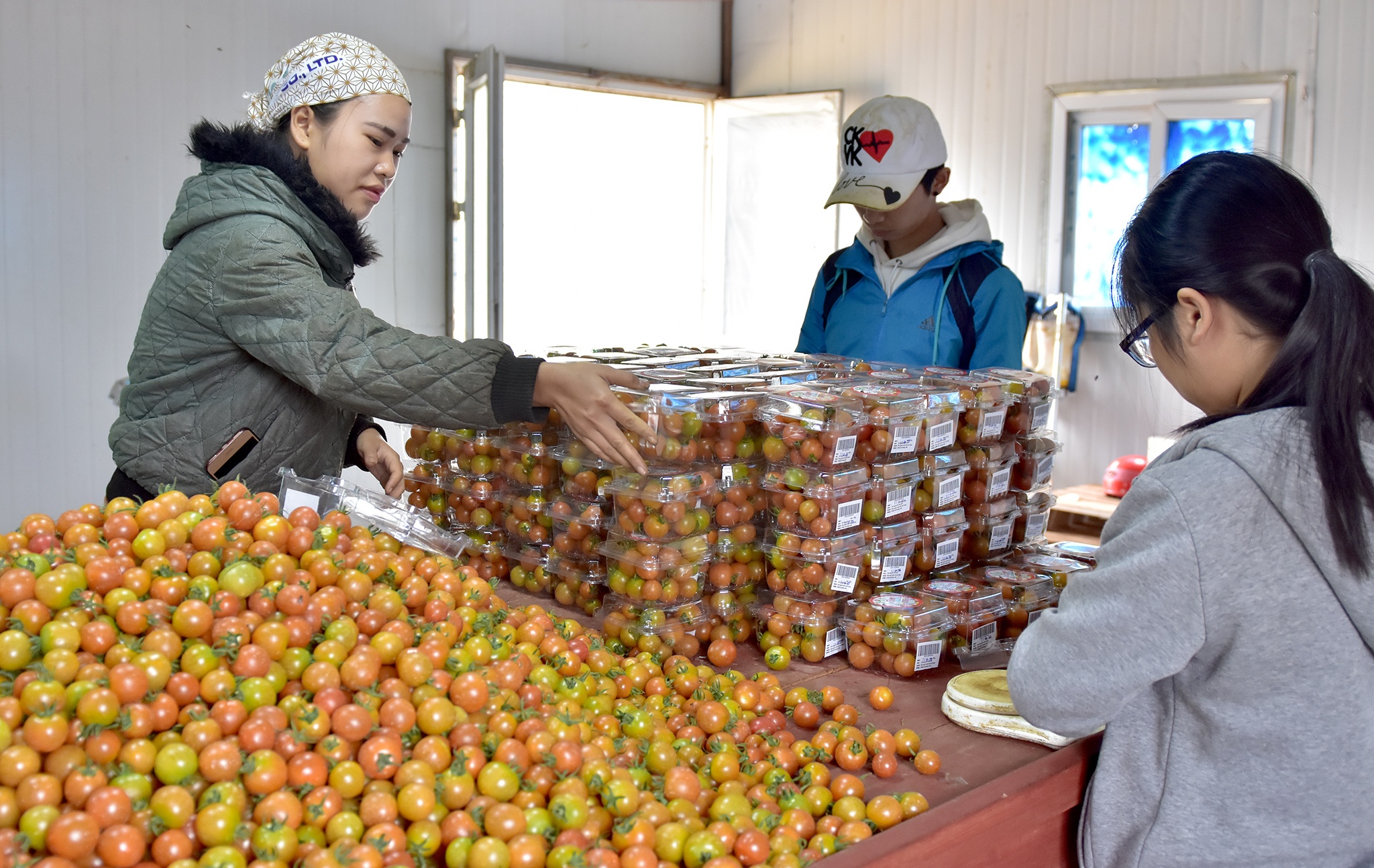 Nong nghiep sach Mang Den anh 5