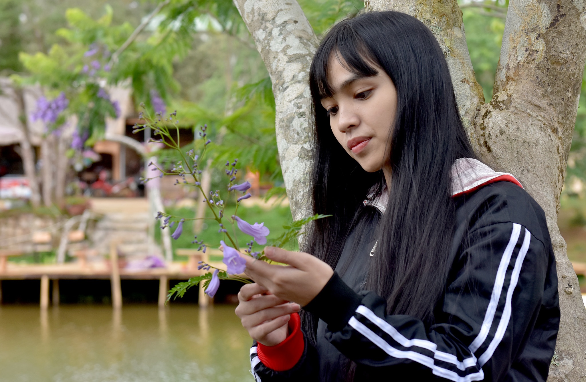 Mua hoa tim Mang Den anh 9