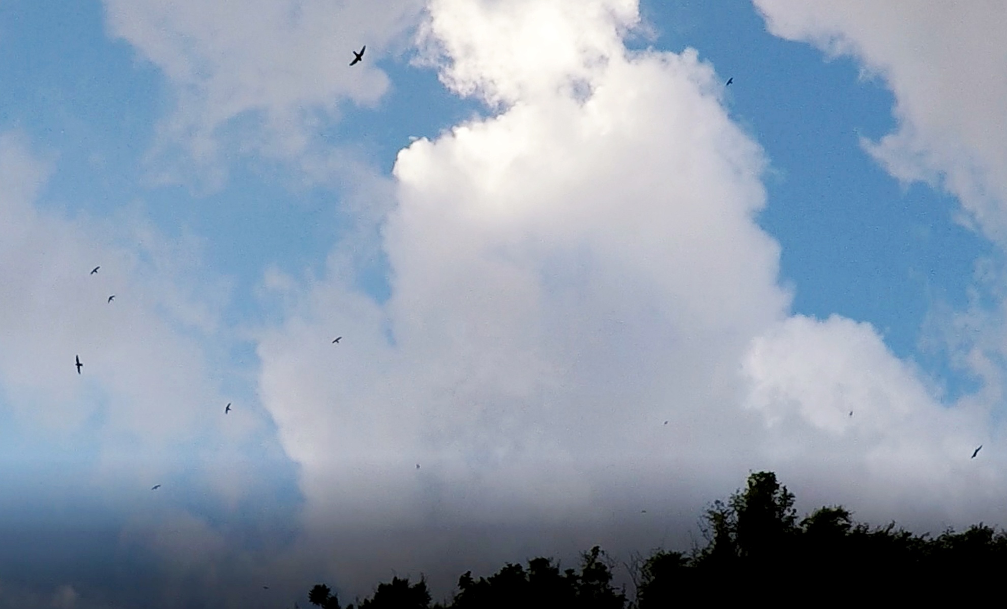 Di san dia chat Ganh Yen anh 15