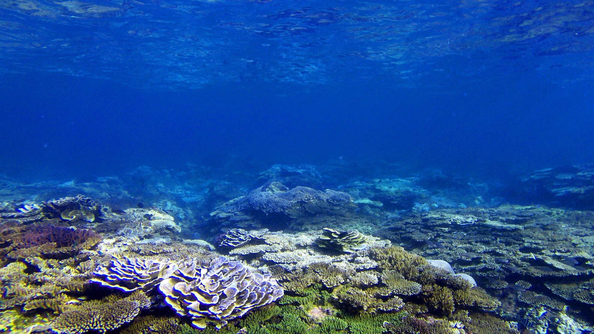 Di san dia chat Ganh Yen anh 5