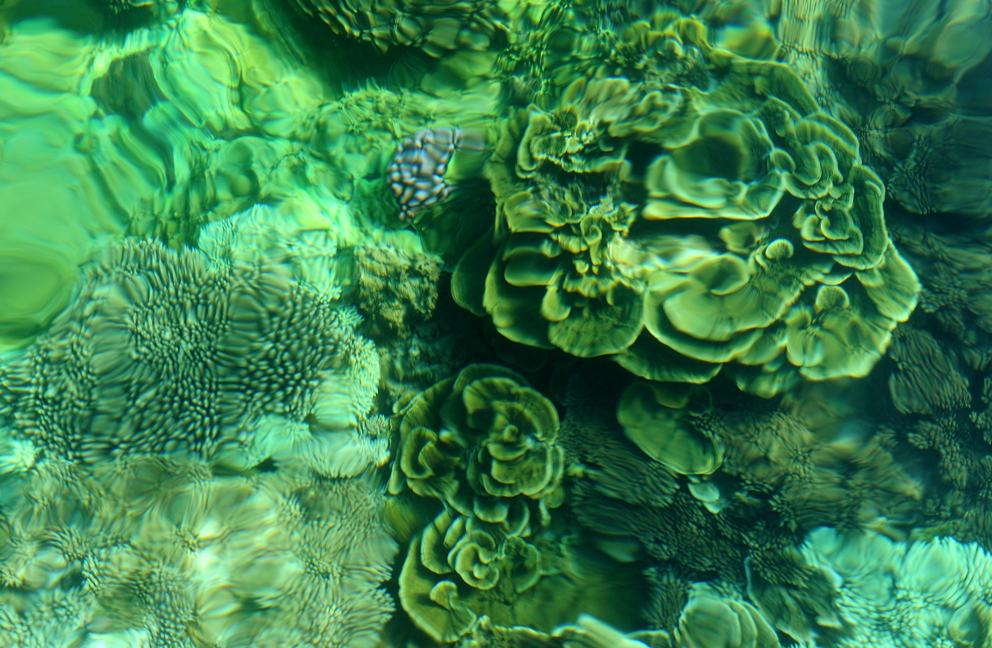 Di san dia chat Ganh Yen anh 6