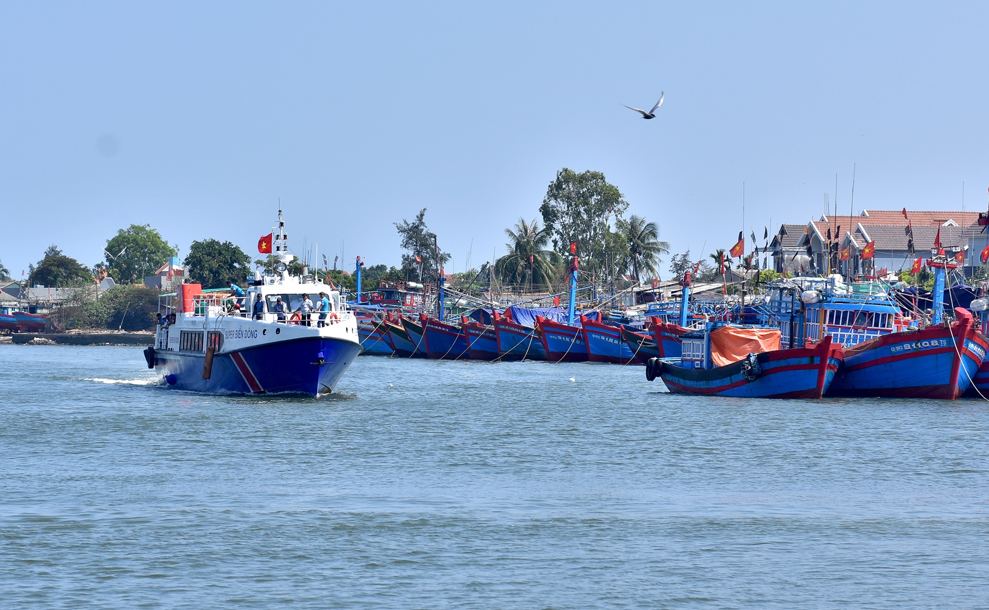 Du khach den dao Ly Son anh 4