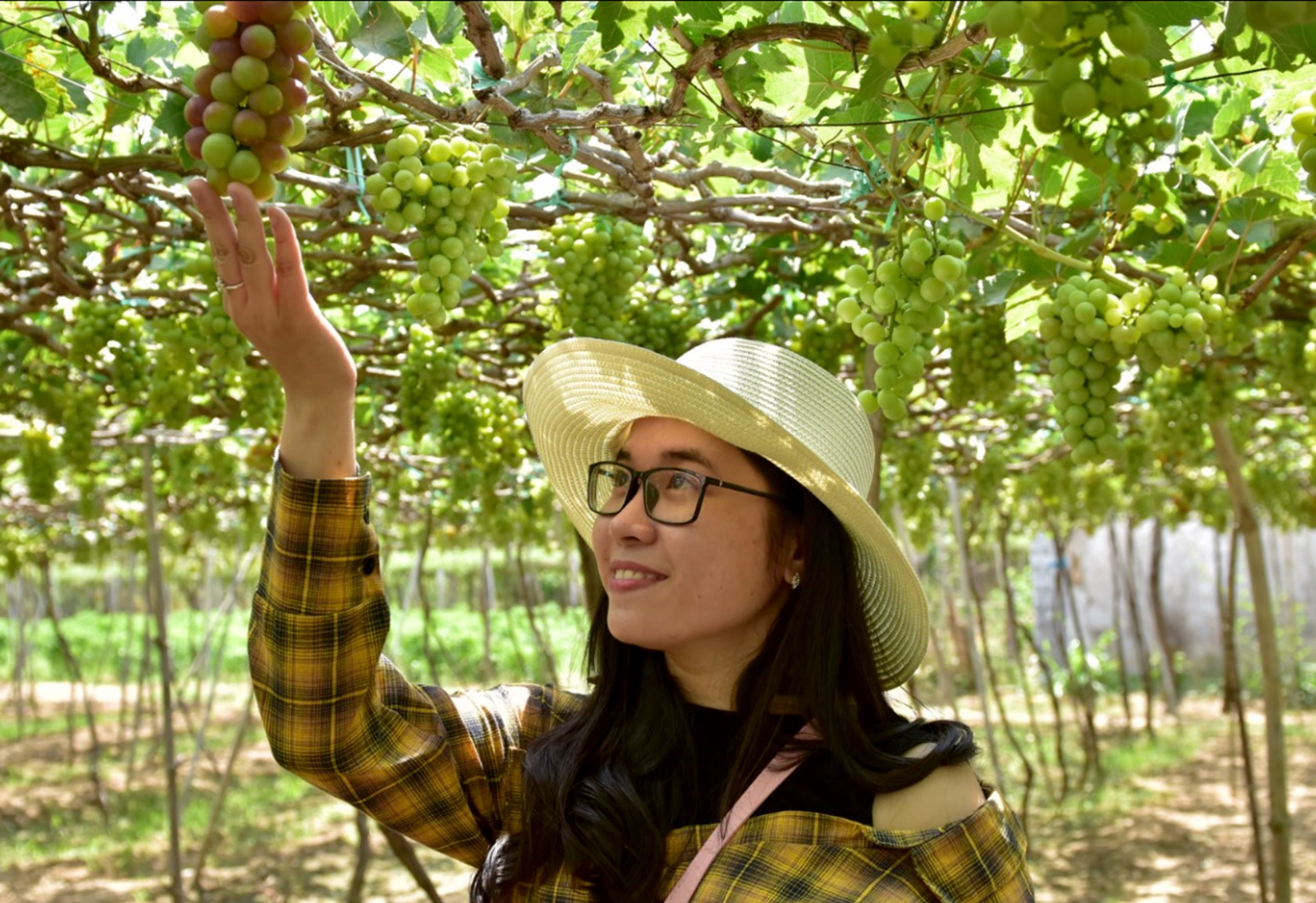 Trai nghiem thu vi Ninh Thuan anh 14