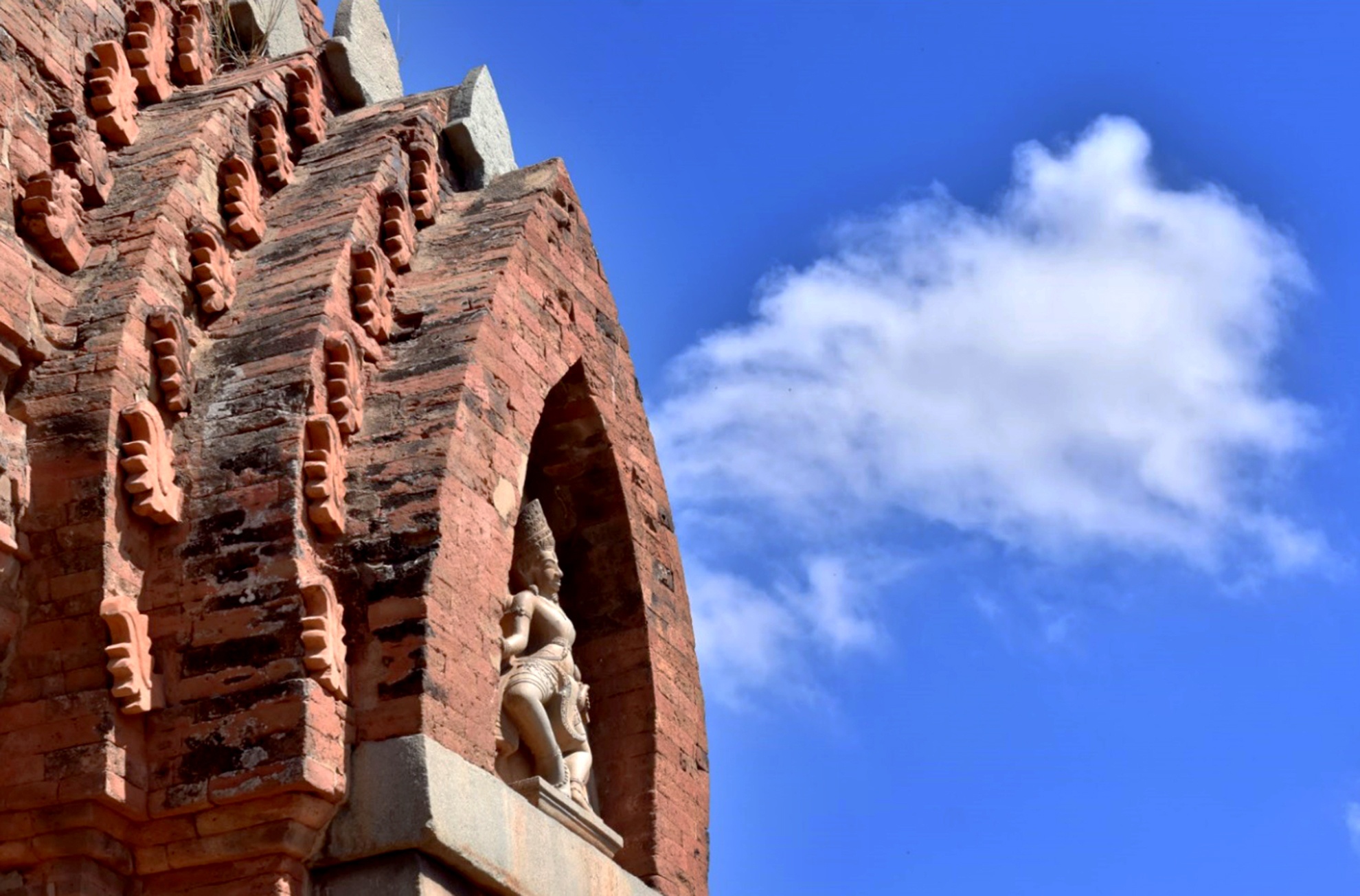 Trai nghiem thu vi Ninh Thuan anh 3