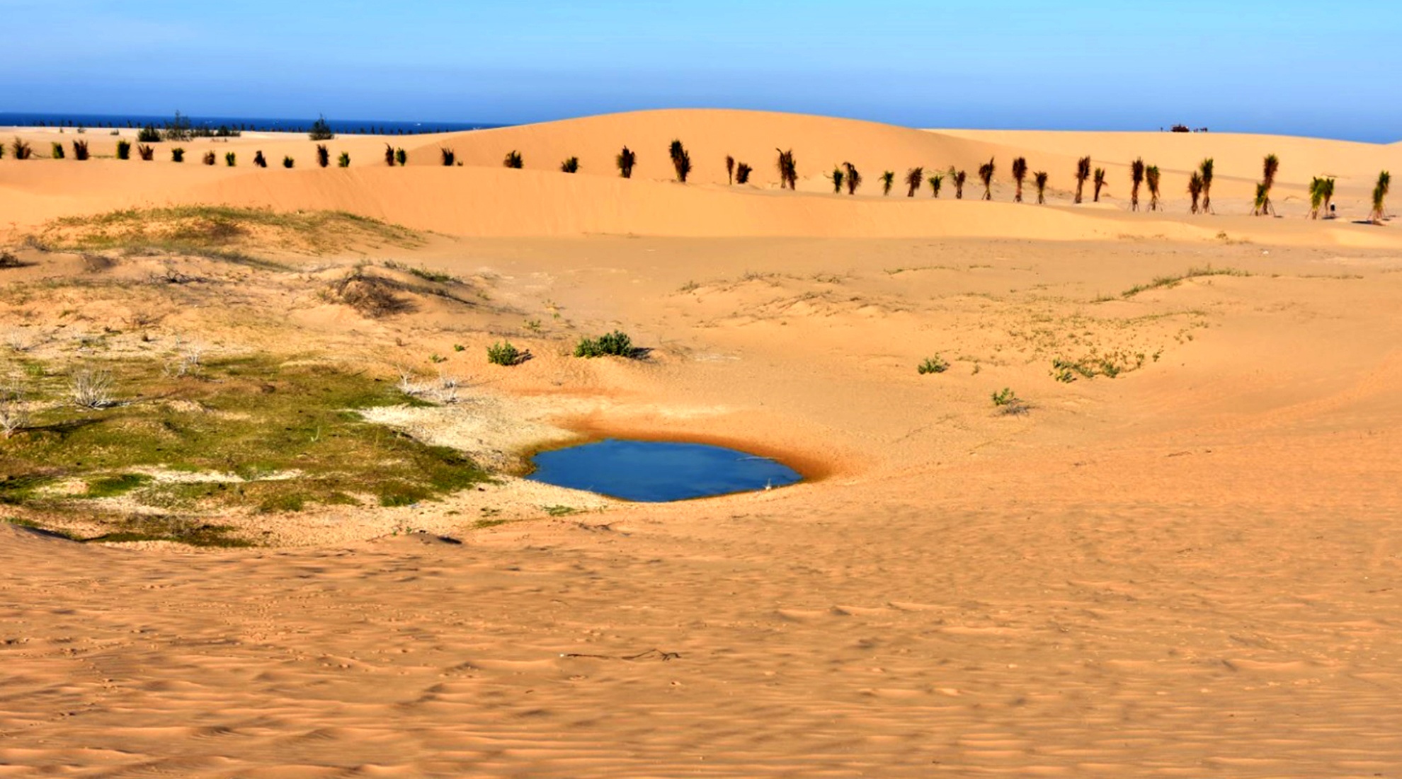 Trai nghiem thu vi Ninh Thuan anh 4