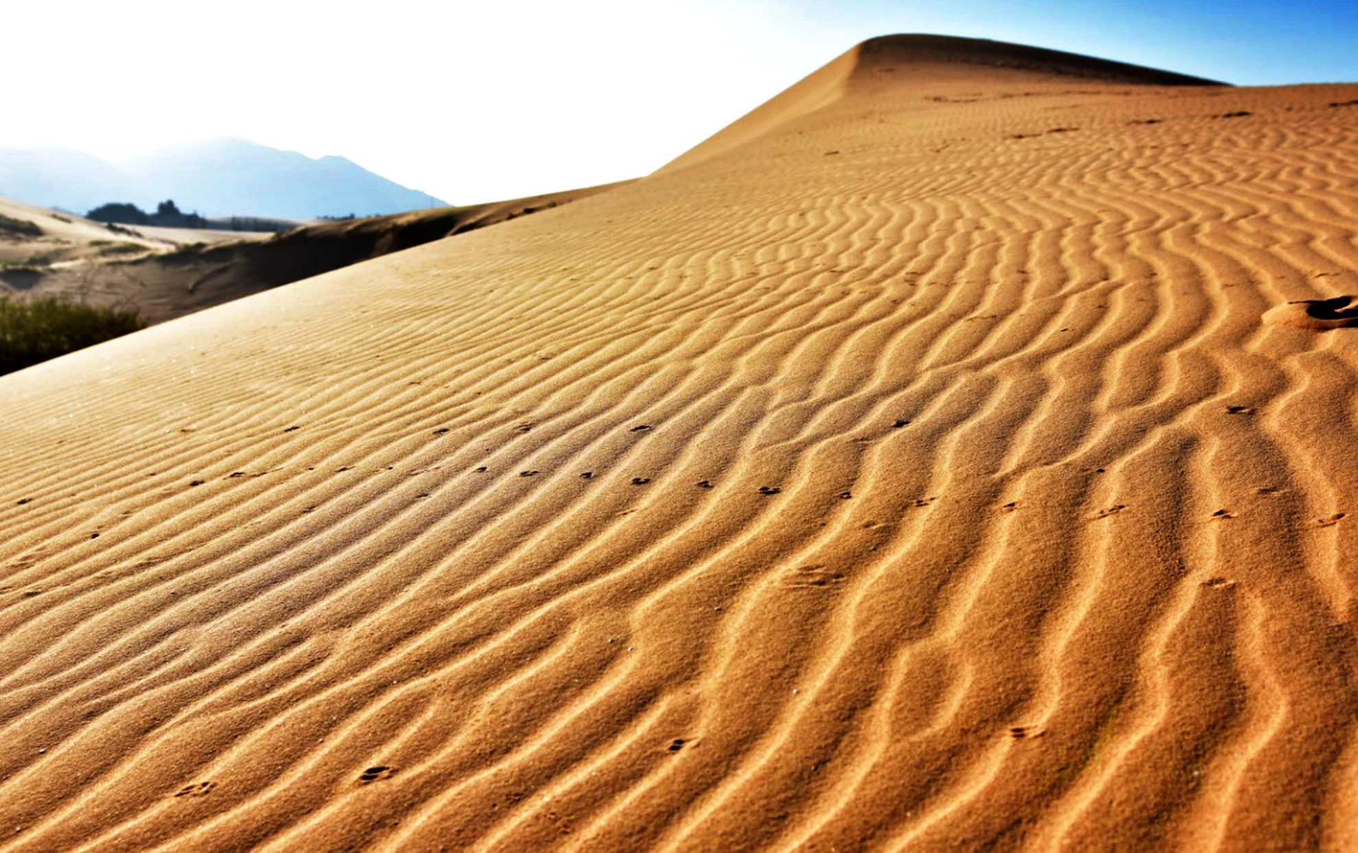 Trai nghiem thu vi Ninh Thuan anh 5