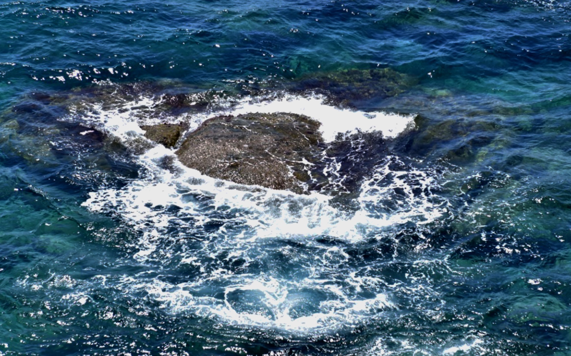 Trai nghiem thu vi Ninh Thuan anh 8