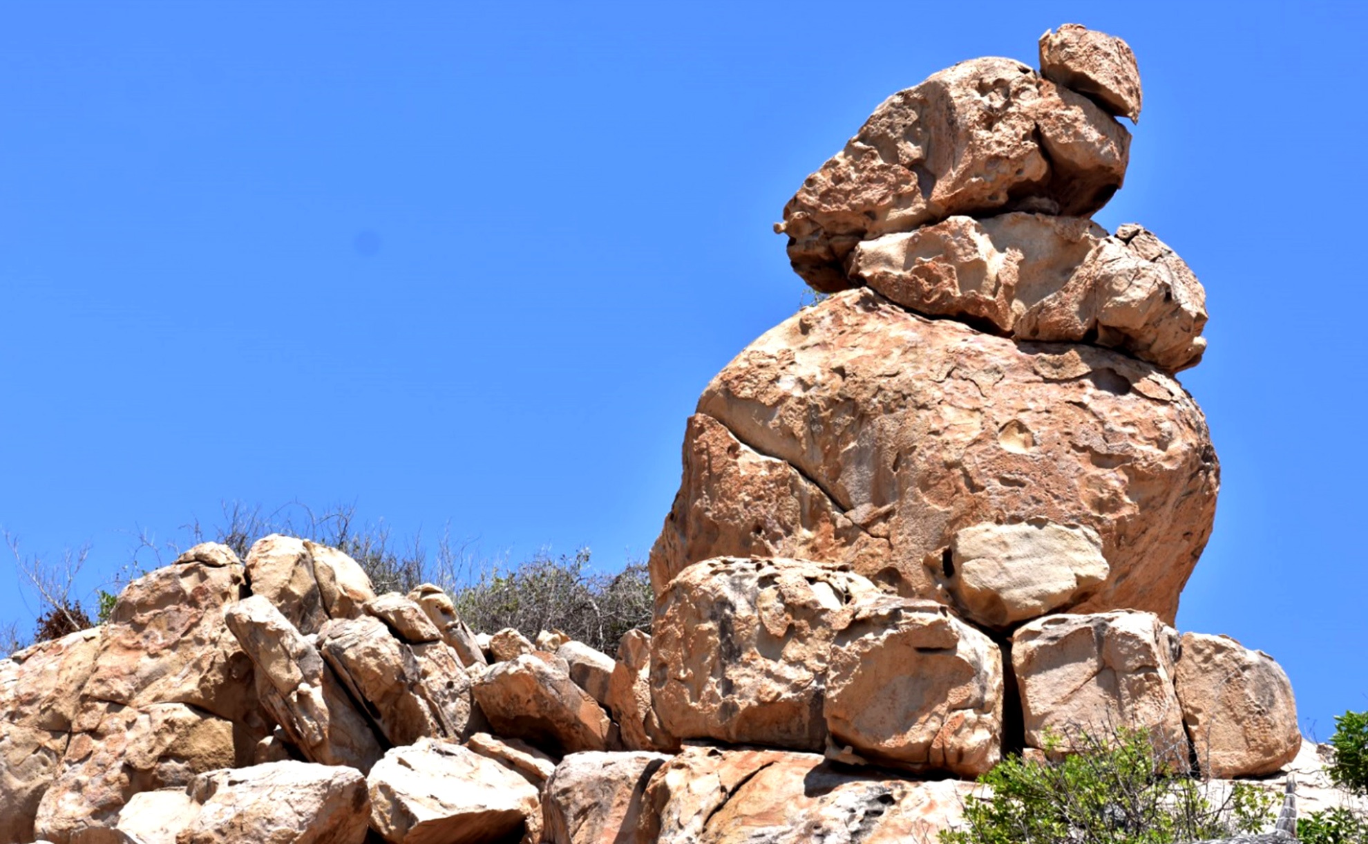 Trai nghiem thu vi Ninh Thuan anh 9