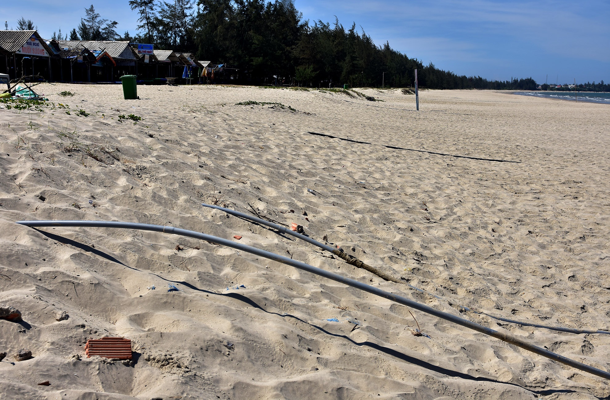 Nước biển đen bất thường  ảnh 2 Nuoc bien den bat thuong anh 2