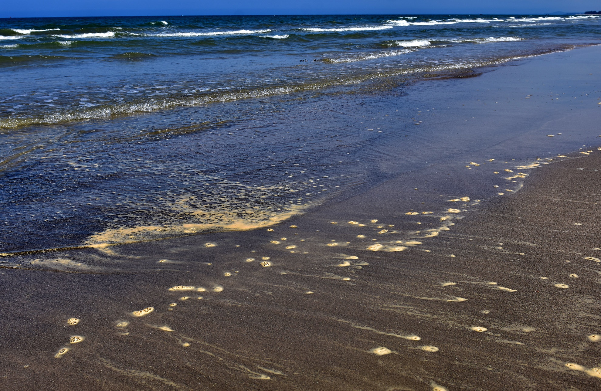 Nước biển đen bất thường  ảnh 1 Nuoc bien den bat thuong anh 1