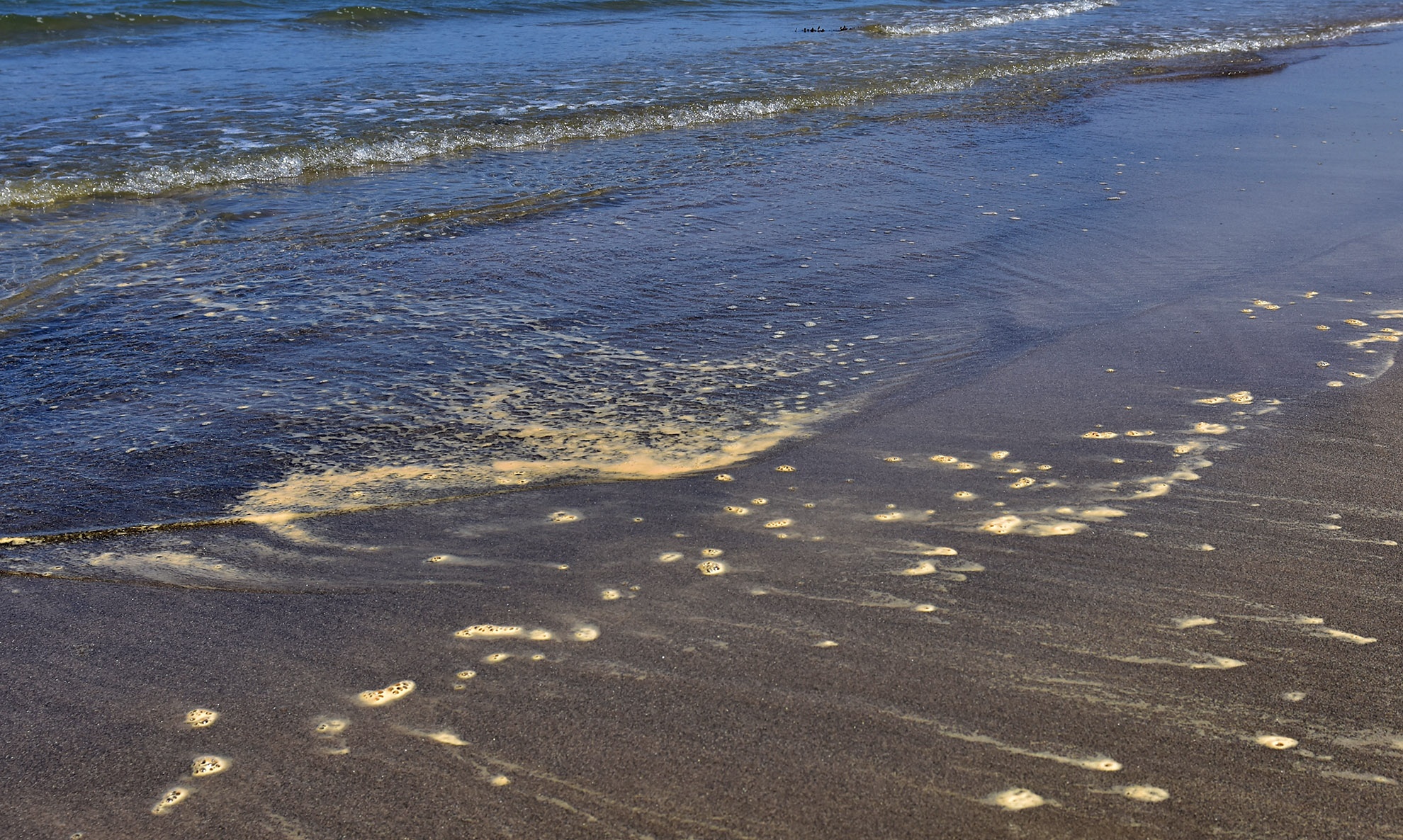 Nuoc bien nhuom den bat thuong o bai tam My Khe hinh anh