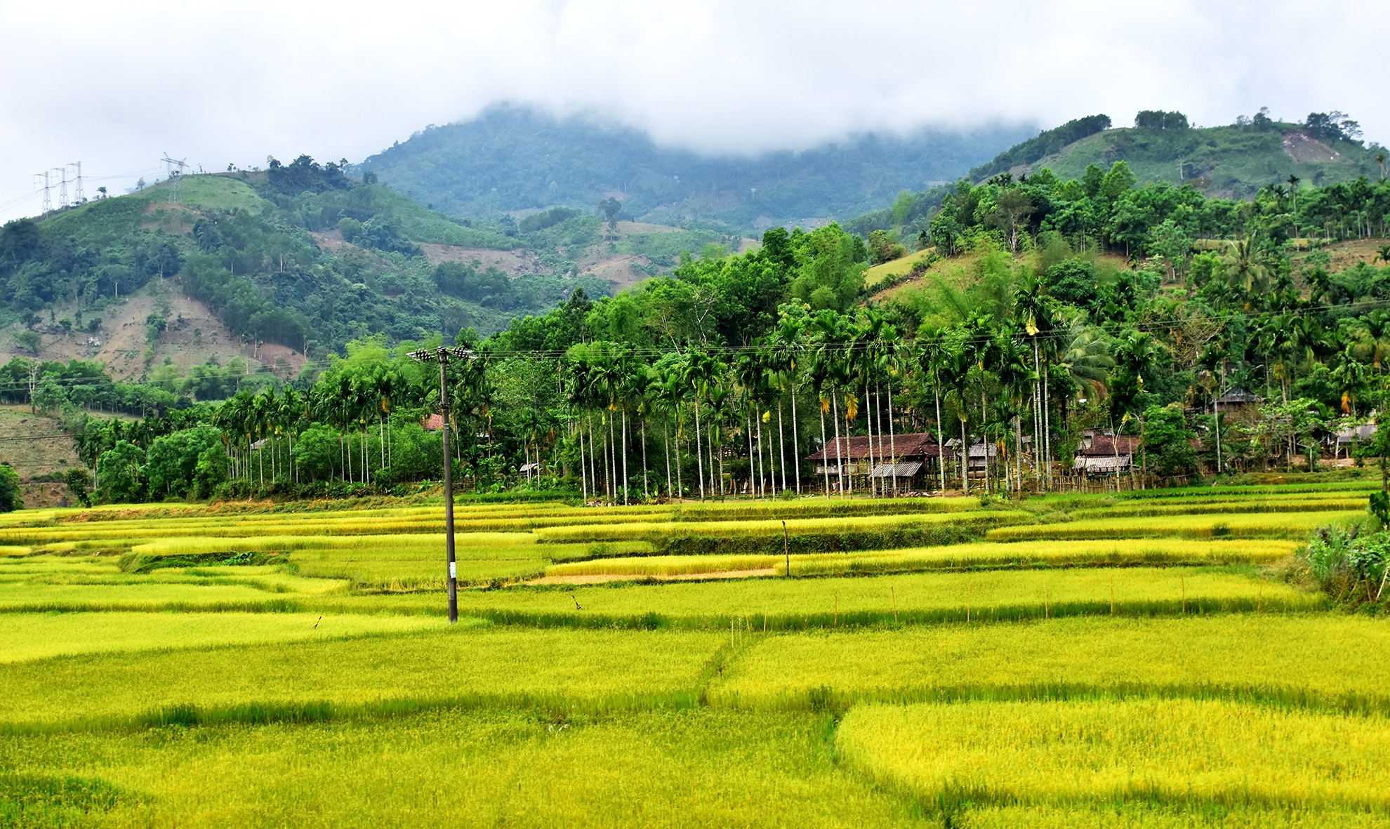 'Ba do' hoc sinh Quang Ngai anh 1
