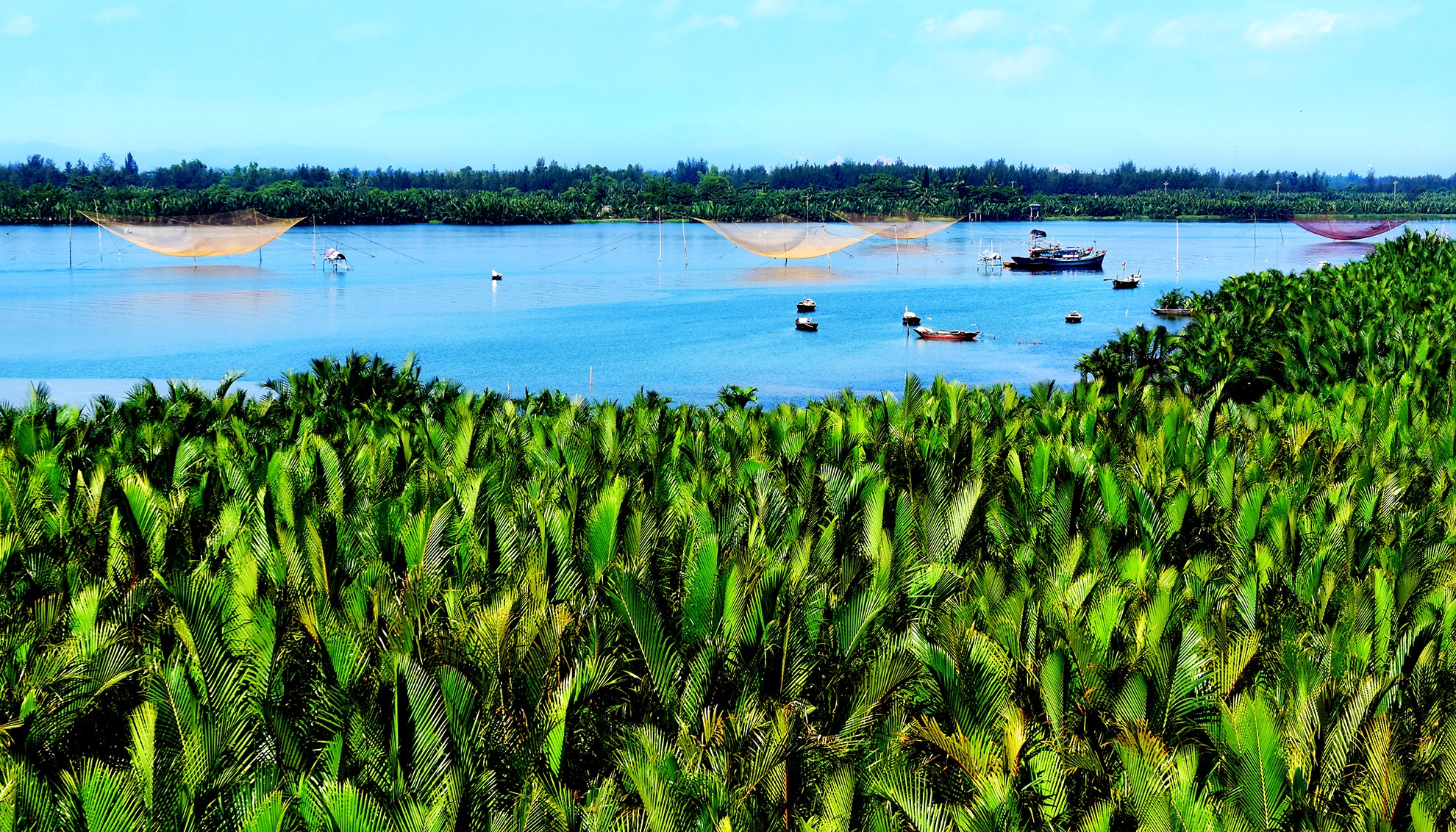 Rừng dừa nước Bảy Mẫu ảnh 1 Rung dua nuoc Bay Mau anh 1