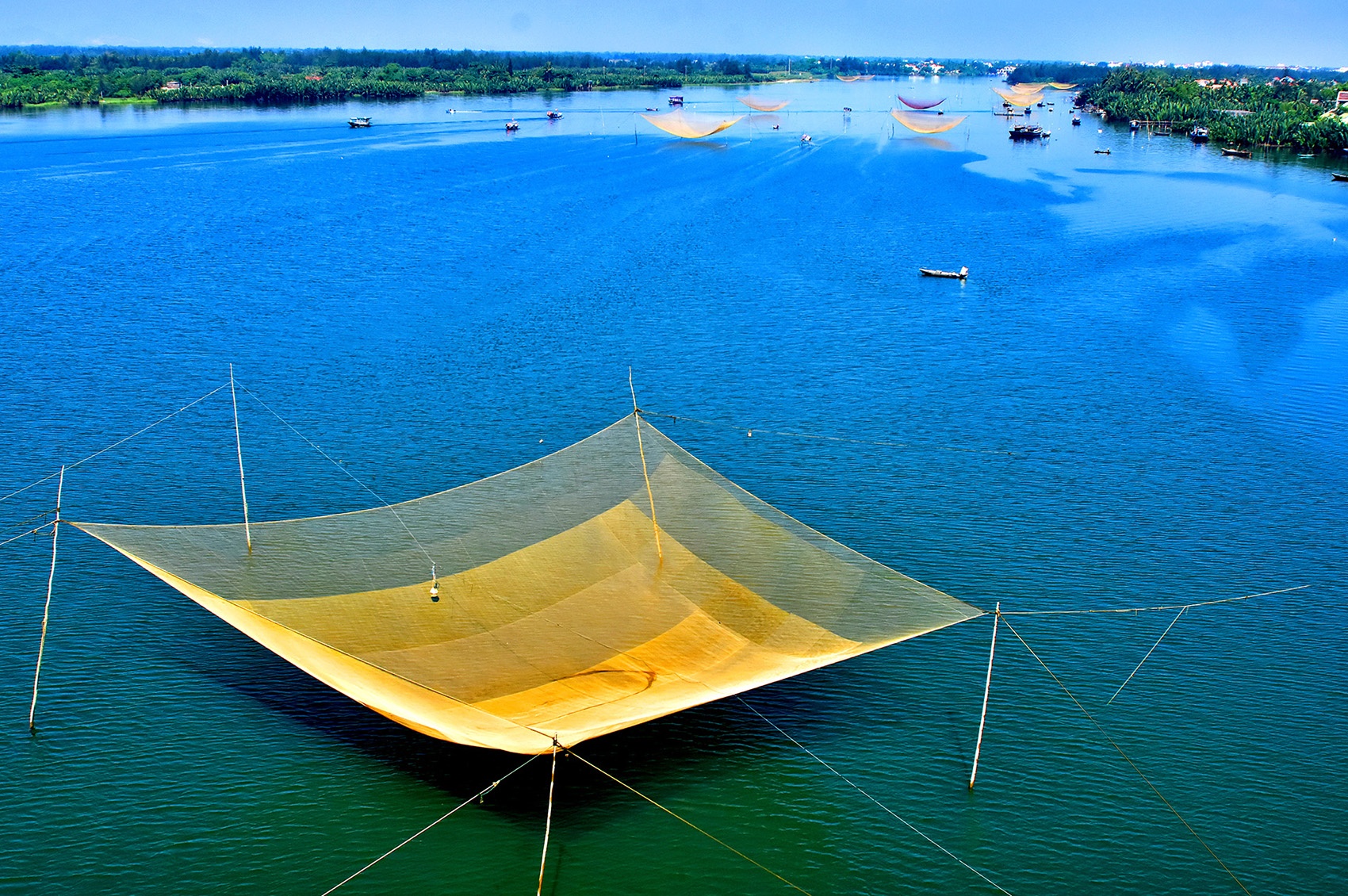 Trai nghiem doc dao xuyen rung dua nuoc giua pho co Hoi An hinh anh