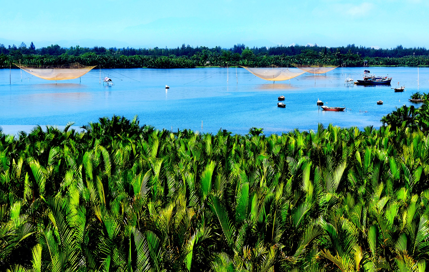 Du khach thich thu di thuyen thung kham pha rung dua nuoc giua Hoi An hinh anh