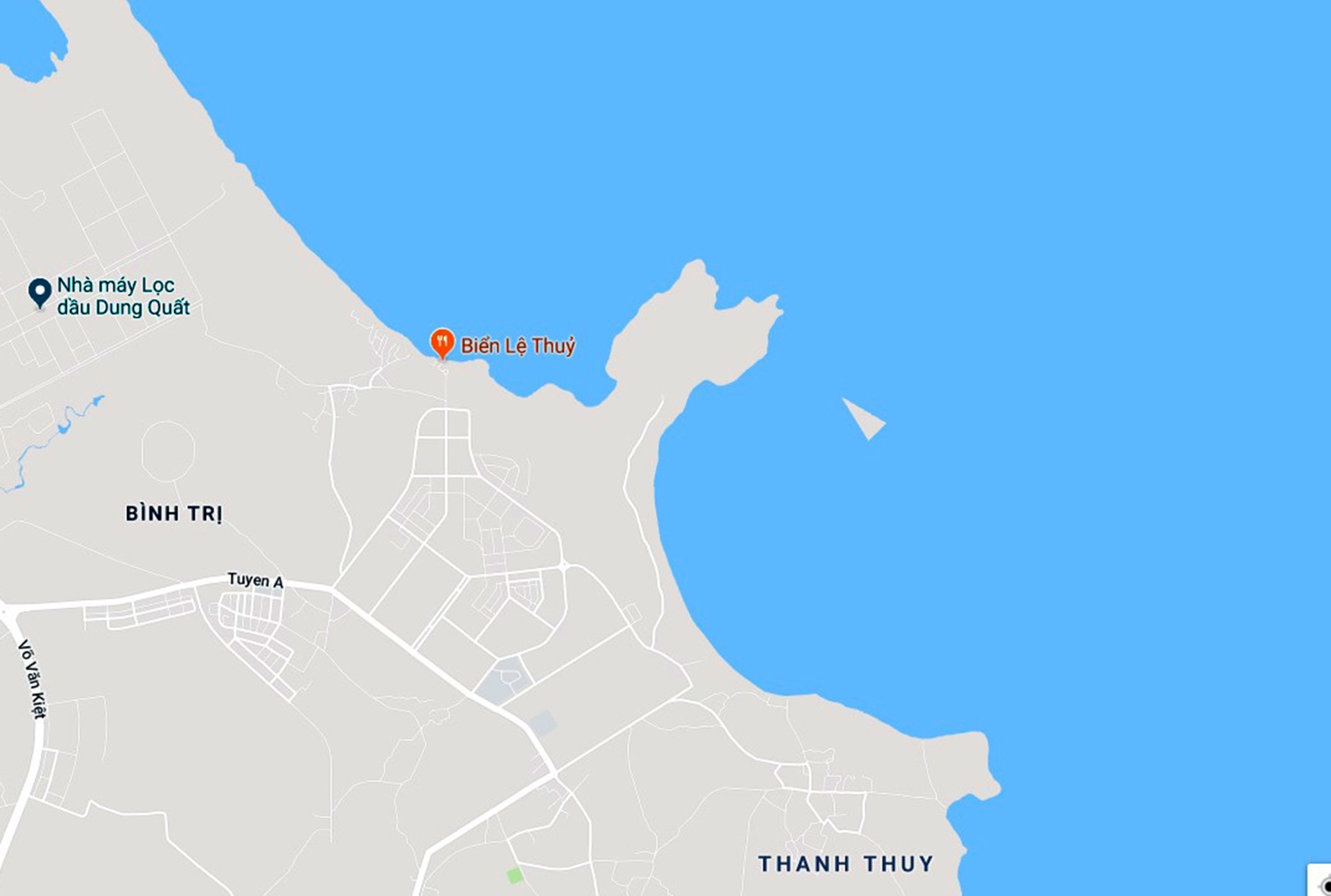 Cá Ông lạc ở Quảng Ngãi ảnh 3 Ca Ong lac o Quang Ngai anh 3