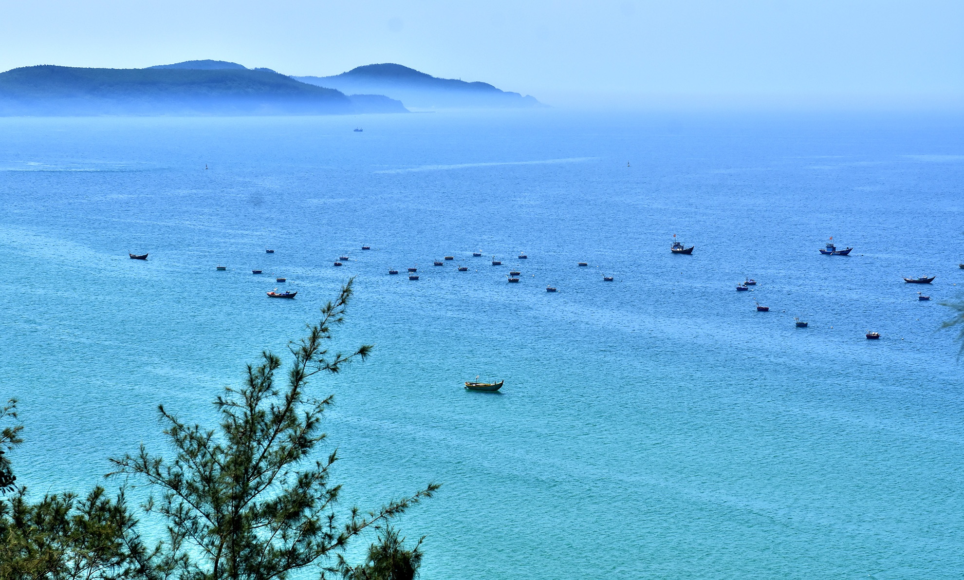 Lo ngại sự cố môi trường ảnh 1 Lo ngai su co moi truong anh 1