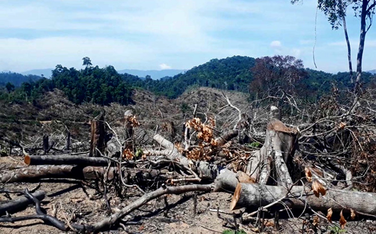Binh Dinh de nghi xu nghiem nhom nguoi doa giet can bo kiem lam hinh anh
