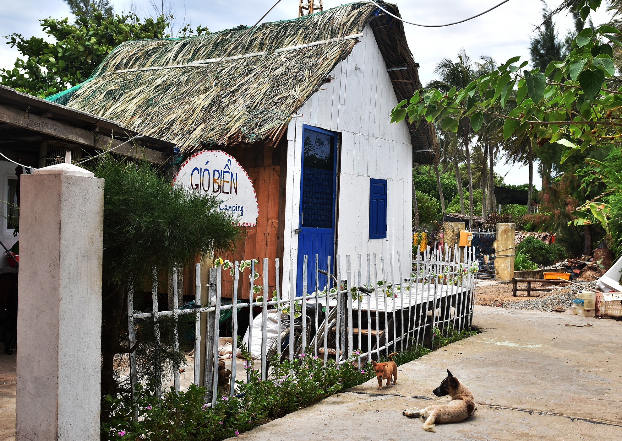 Homestay tuyet dep Ly Son anh 6