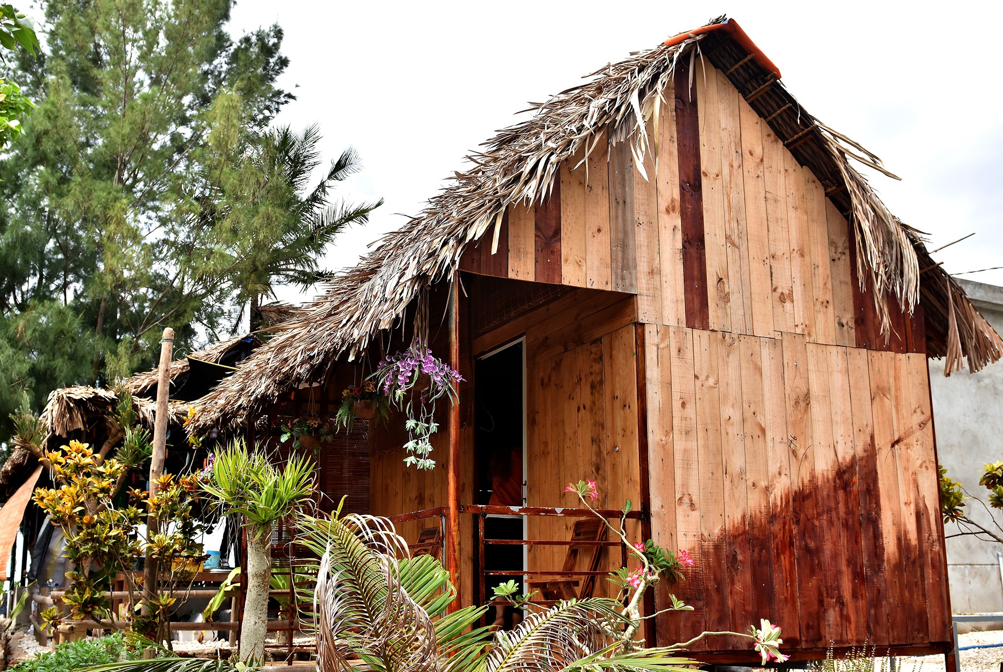 Homestay tuyet dep Ly Son anh 7