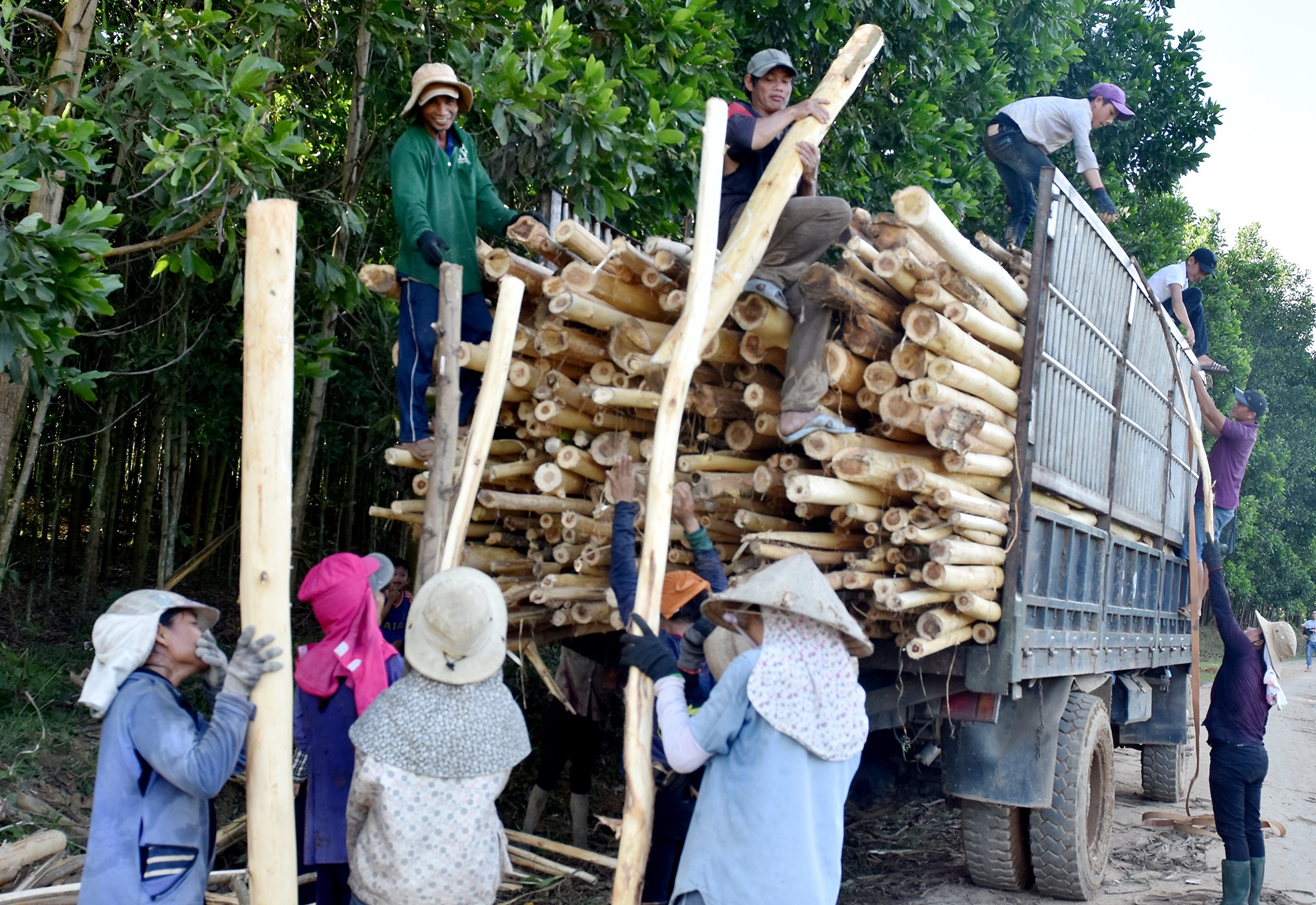 Nguoi me dac biet Quang Ngai anh 3
