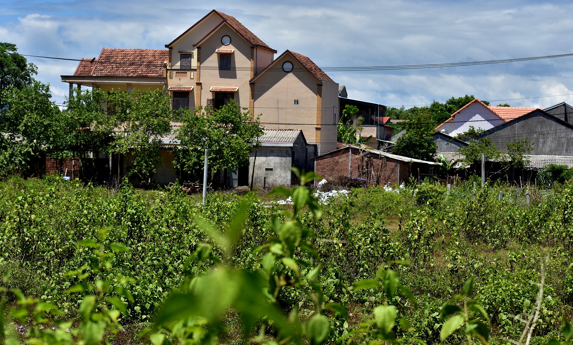 Khu do thi Van Tuong anh 7