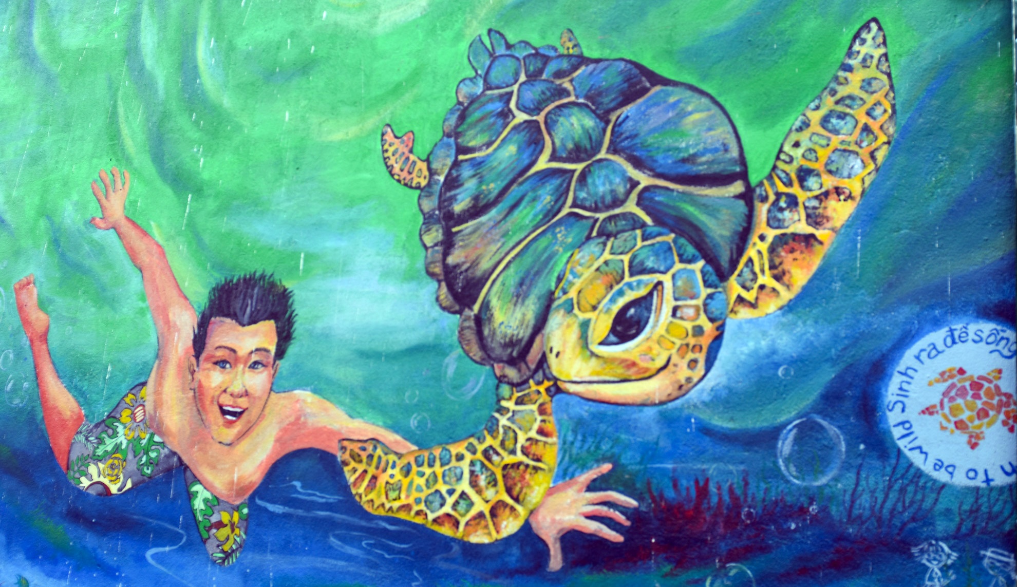 Bao ton rua bien anh 6