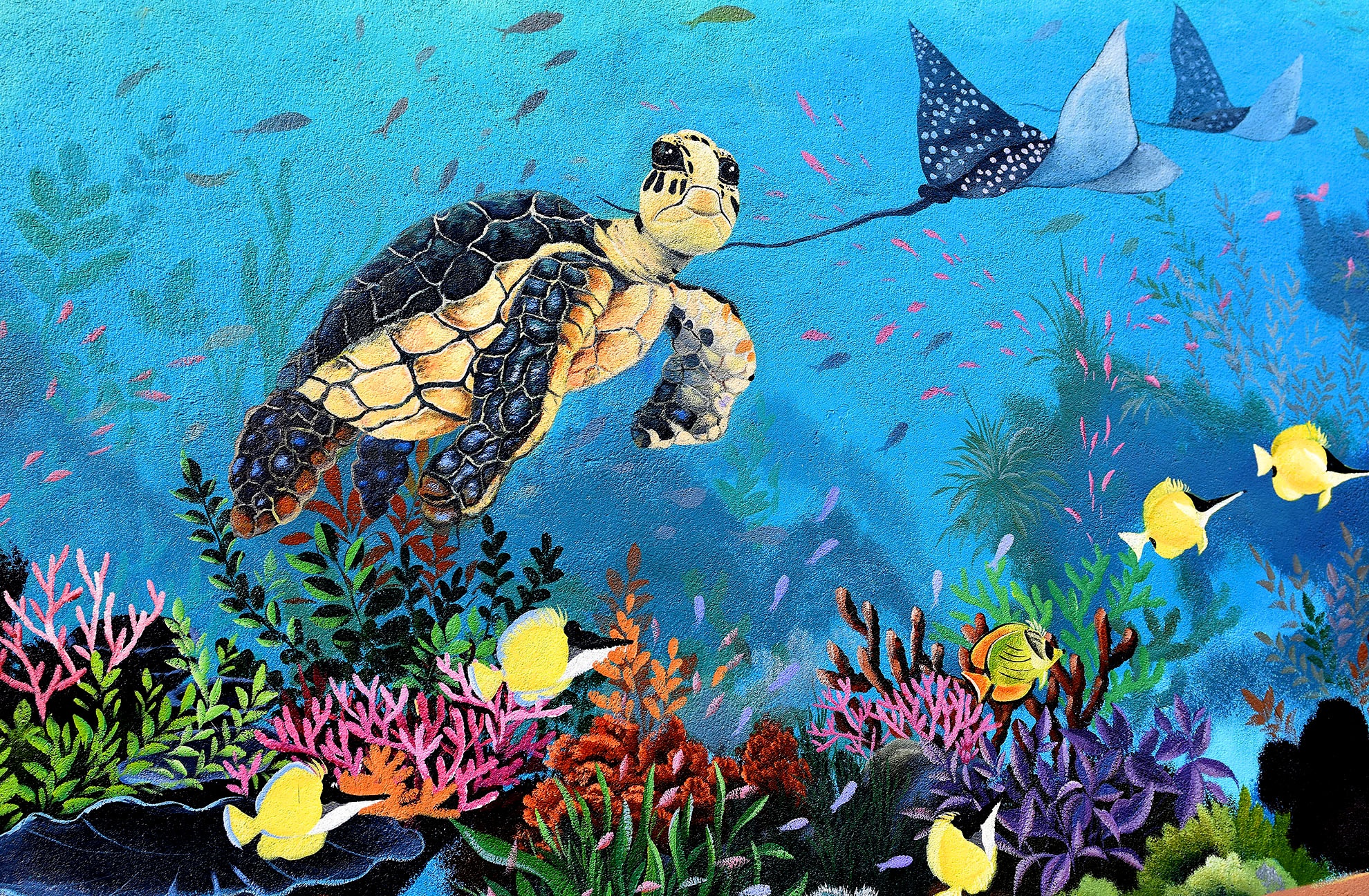 Bao ton rua bien anh 4