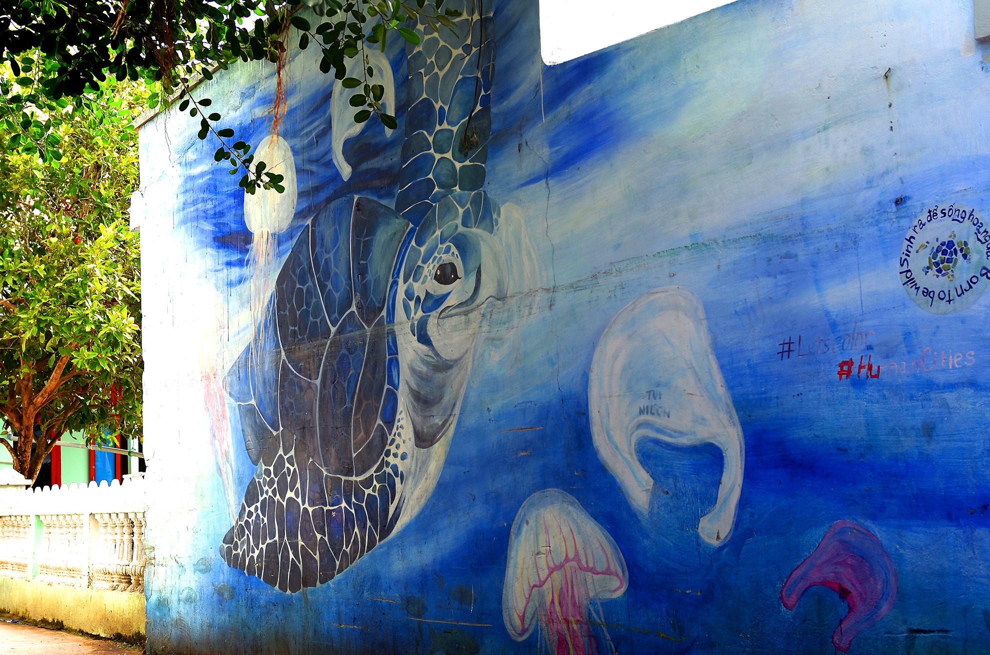 Bao ton rua bien anh 8