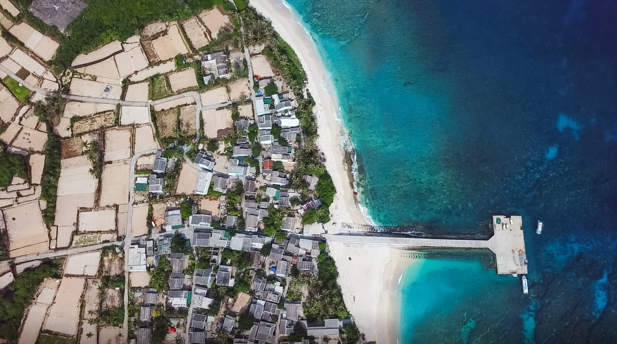 Bao ton rua bien anh 1