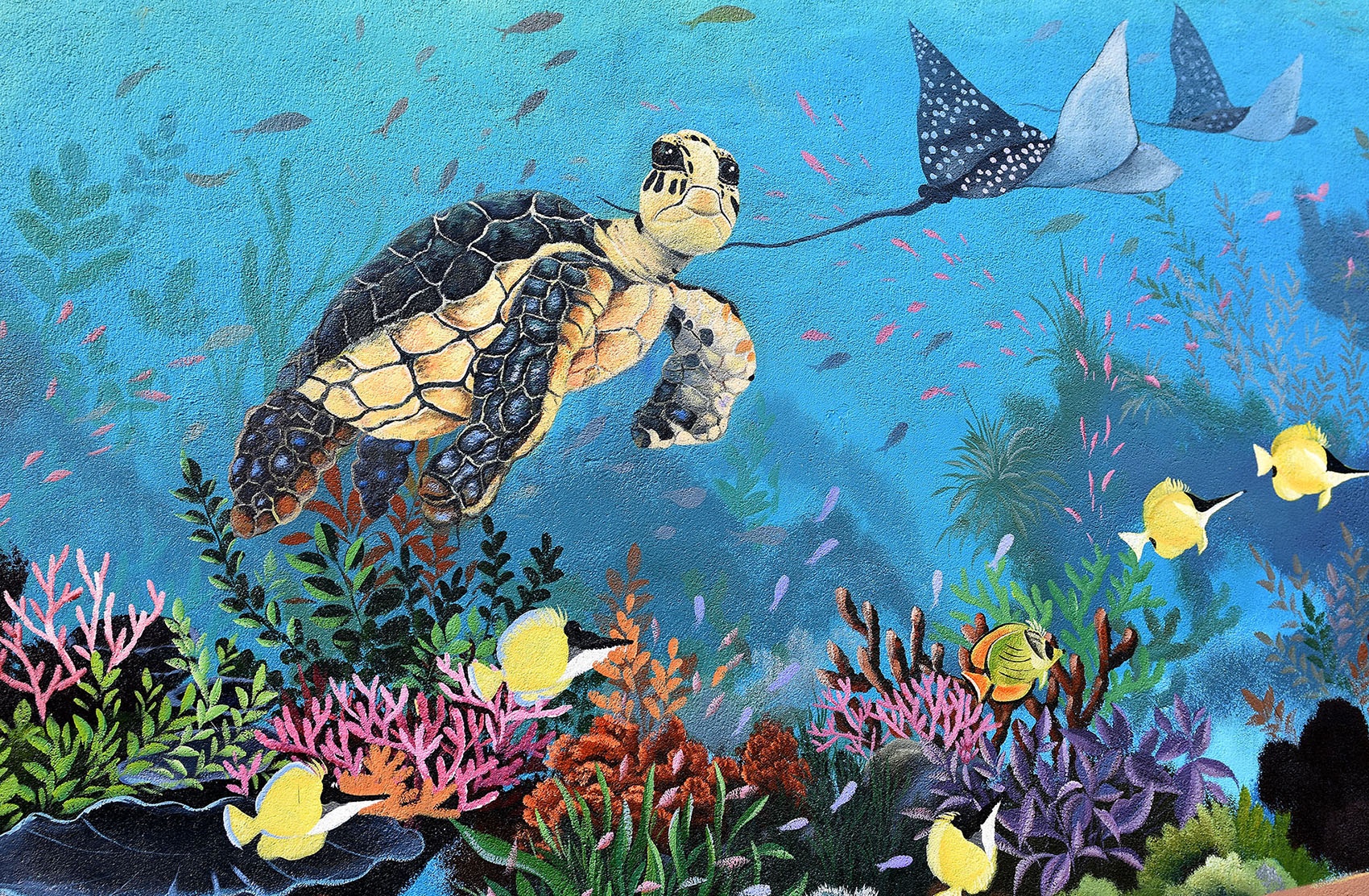 Lang bich hoa me hoac du khach o dao Be Ly Son hinh anh