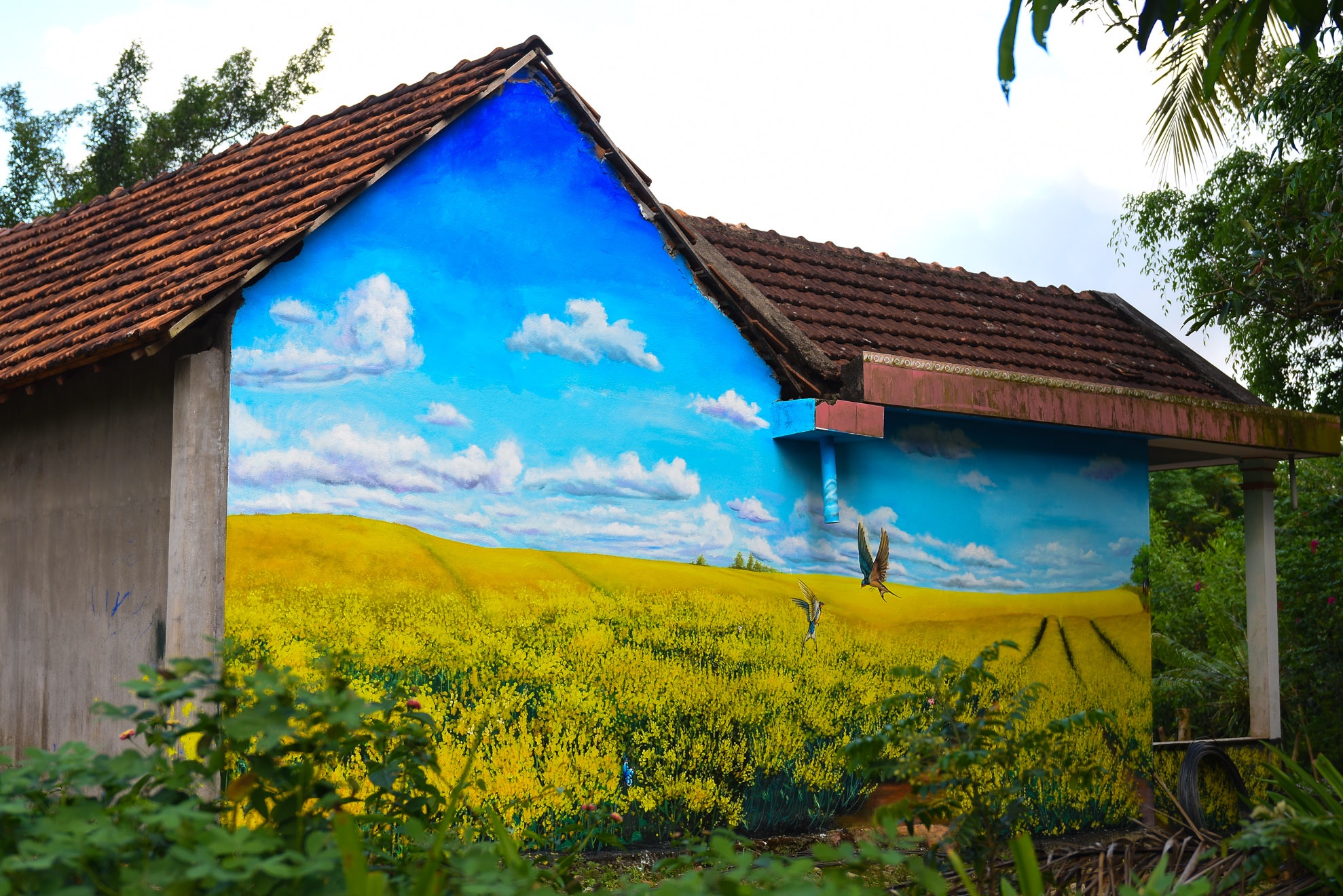 Lang bich hoa giua rung anh 8