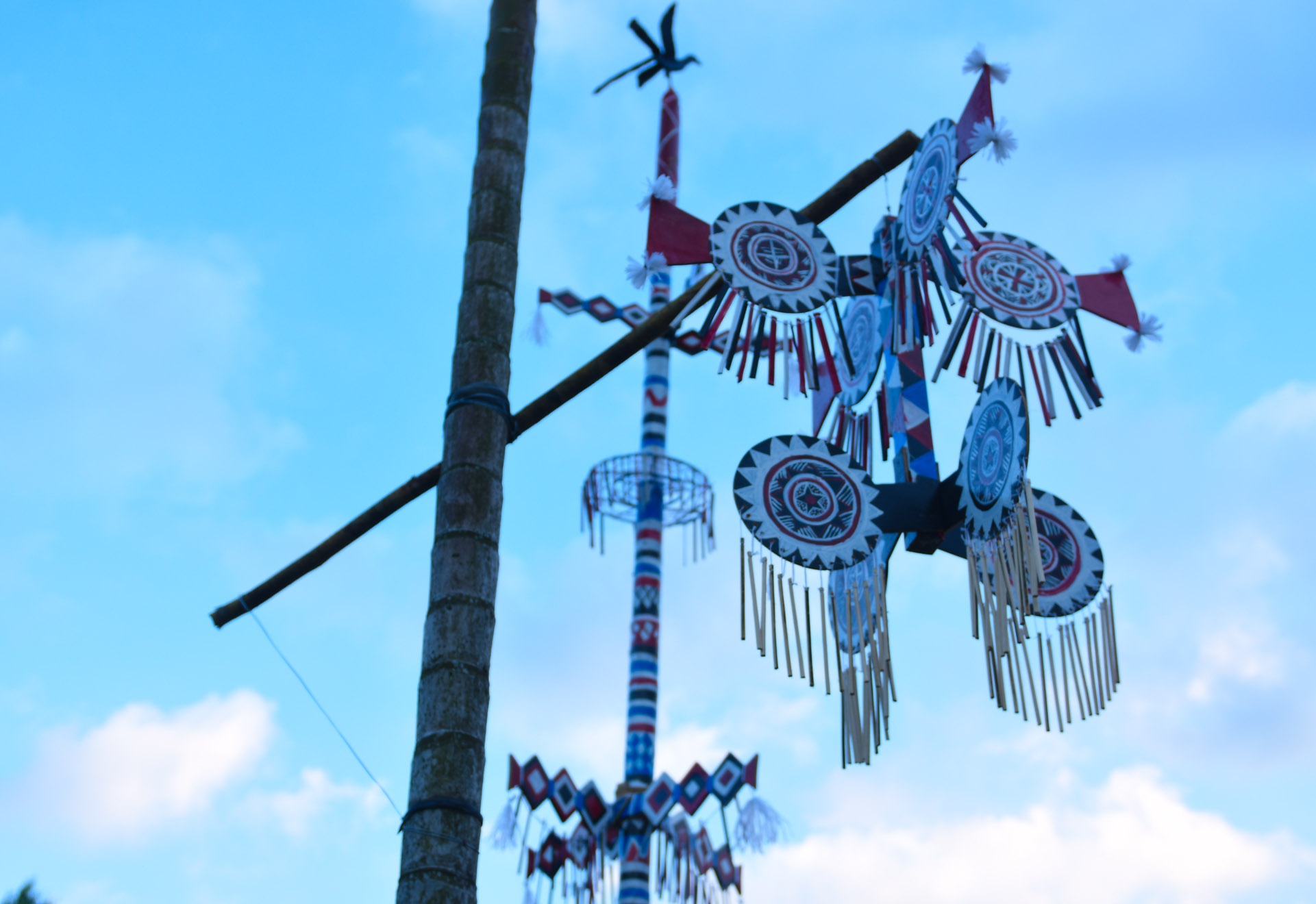 Lang bich hoa giua rung anh 3