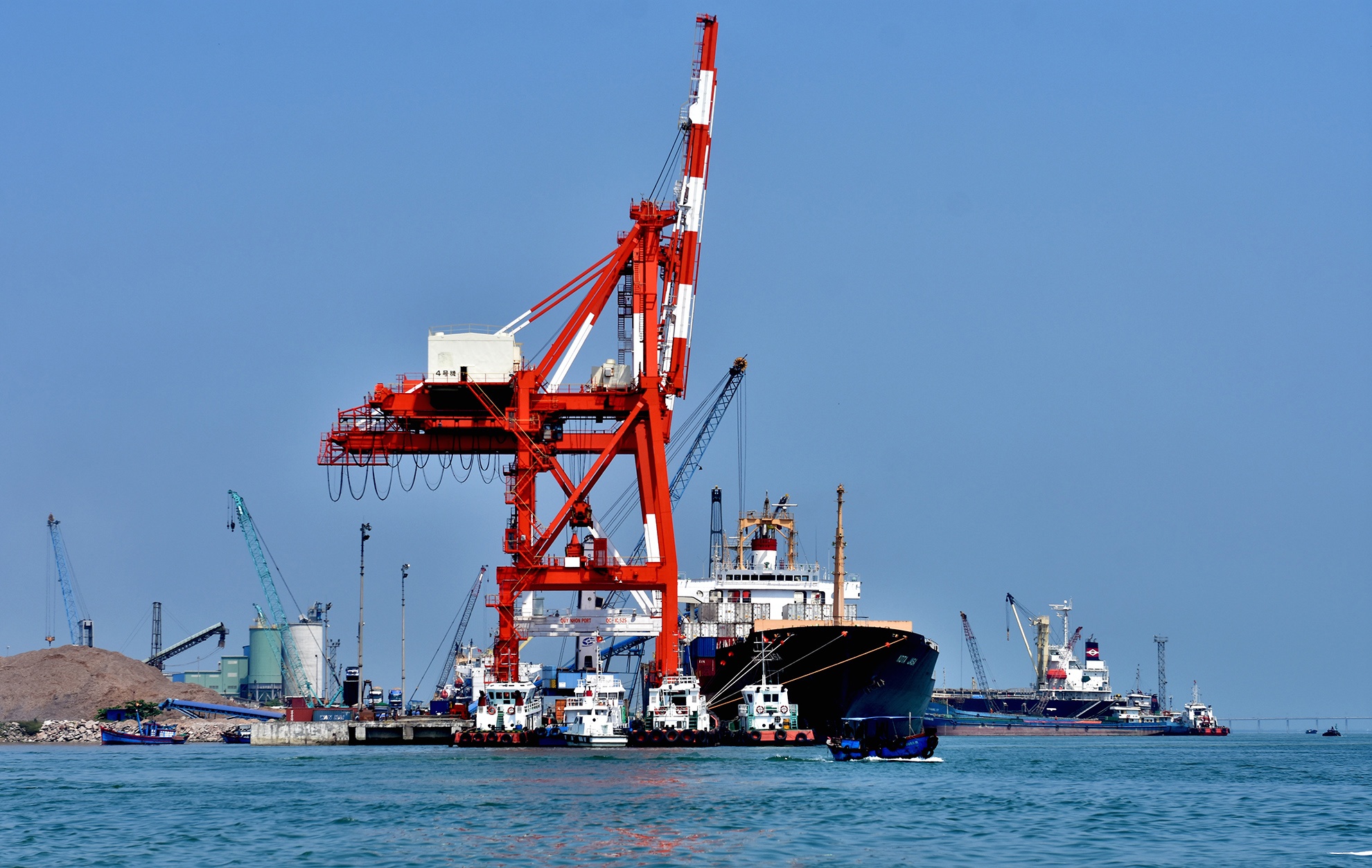 Thanh tra cang Quy Nhon anh 8