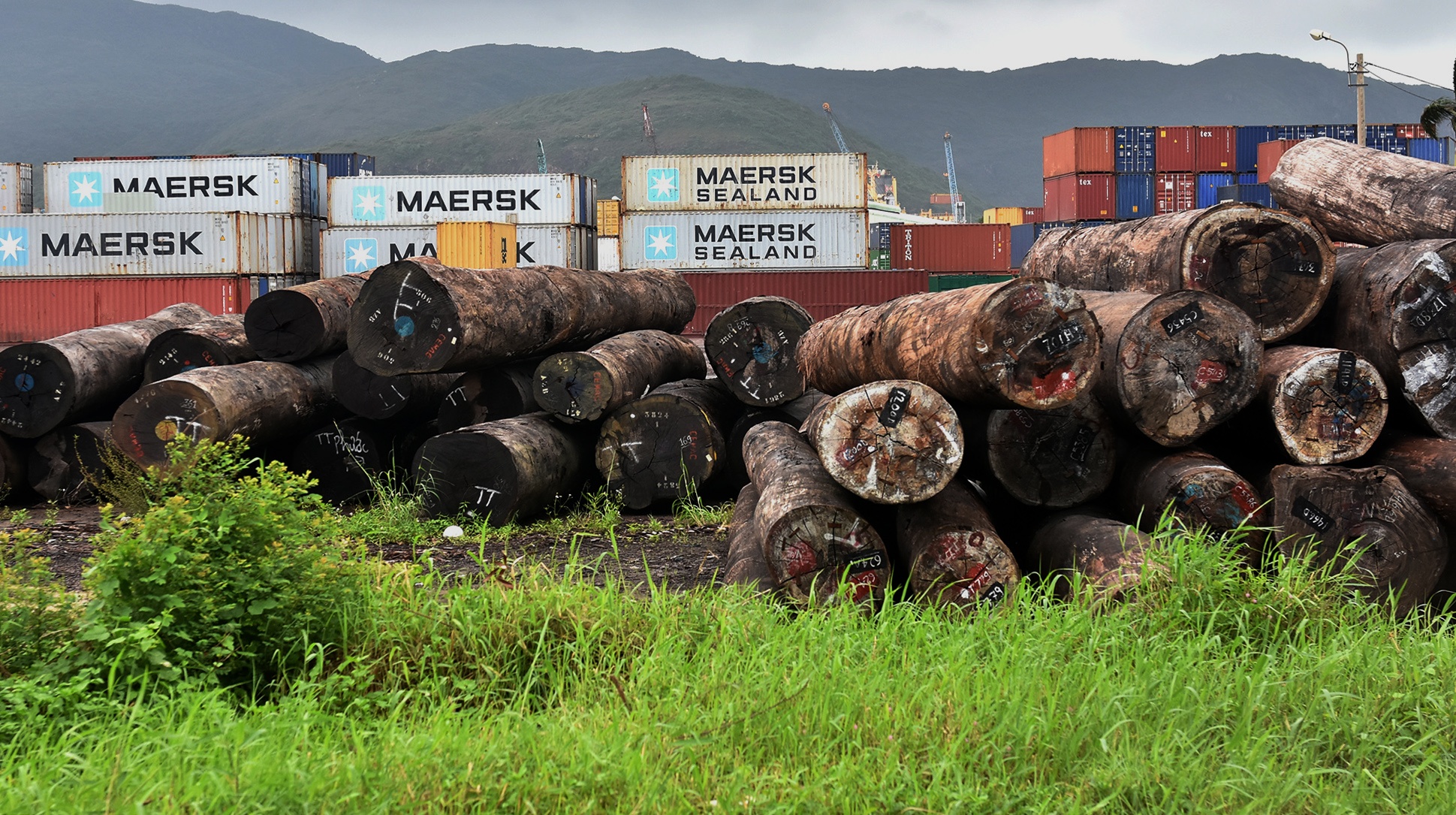 Thanh tra cang Quy Nhon anh 5