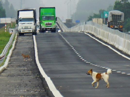 Can canh goi thau A5 thuoc cao toc Da Nang - Quang Ngai dinh sai pham hinh anh