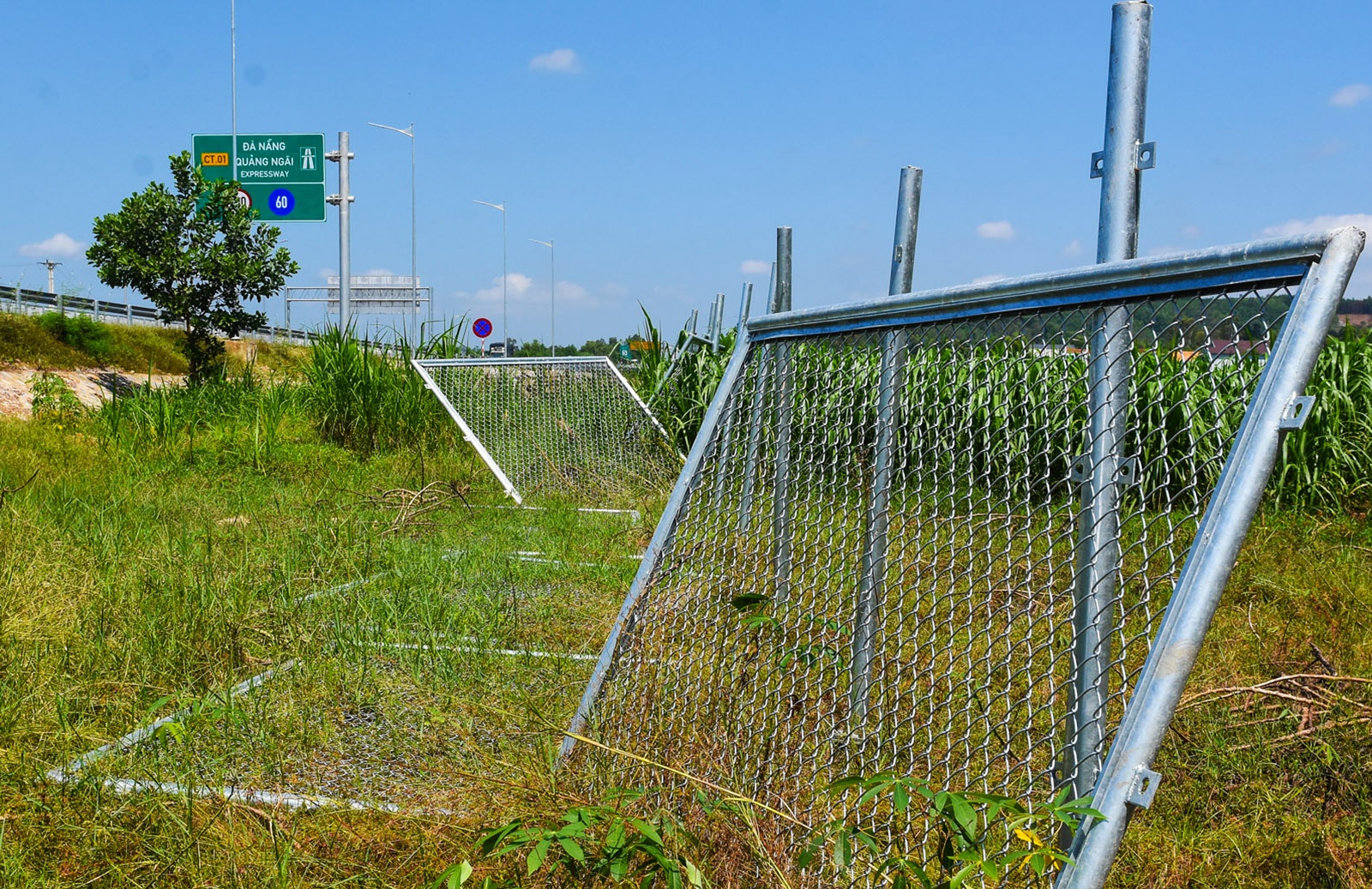 Goi thau gan 1.400 ty nham nho sau 1 thang khai thac cao toc hinh anh