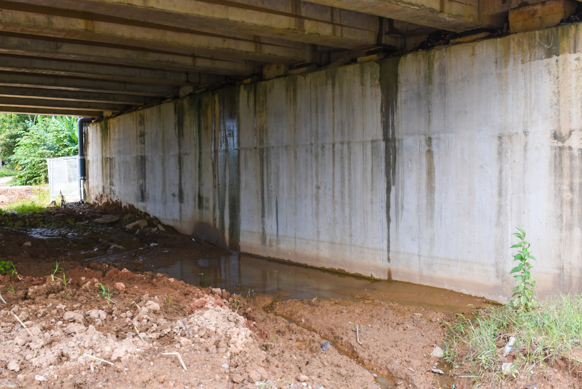 Cao toc Da Nang- Quang Ngai anh 8