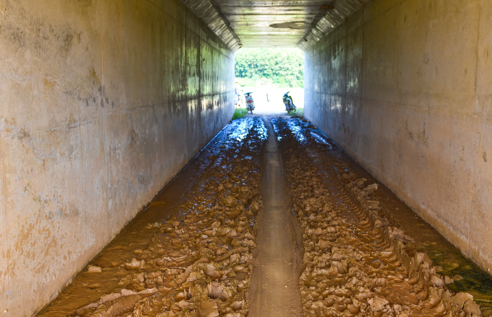 Cao toc moi thong xe ma co den 20 cay cau tham dot anh 21